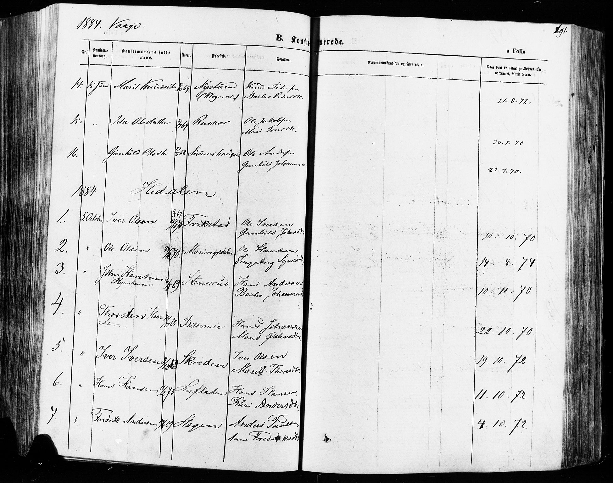 Vågå prestekontor, SAH/PREST-076/H/Ha/Haa/L0007: Parish register (official) no. 7 /1, 1872-1886, p. 291
