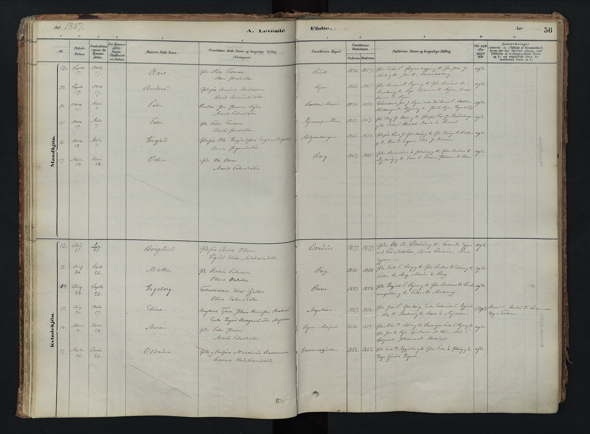 Tolga prestekontor, AV/SAH-PREST-062/K/L0008: Parish register (official) no. 8, 1877-1910, p. 56