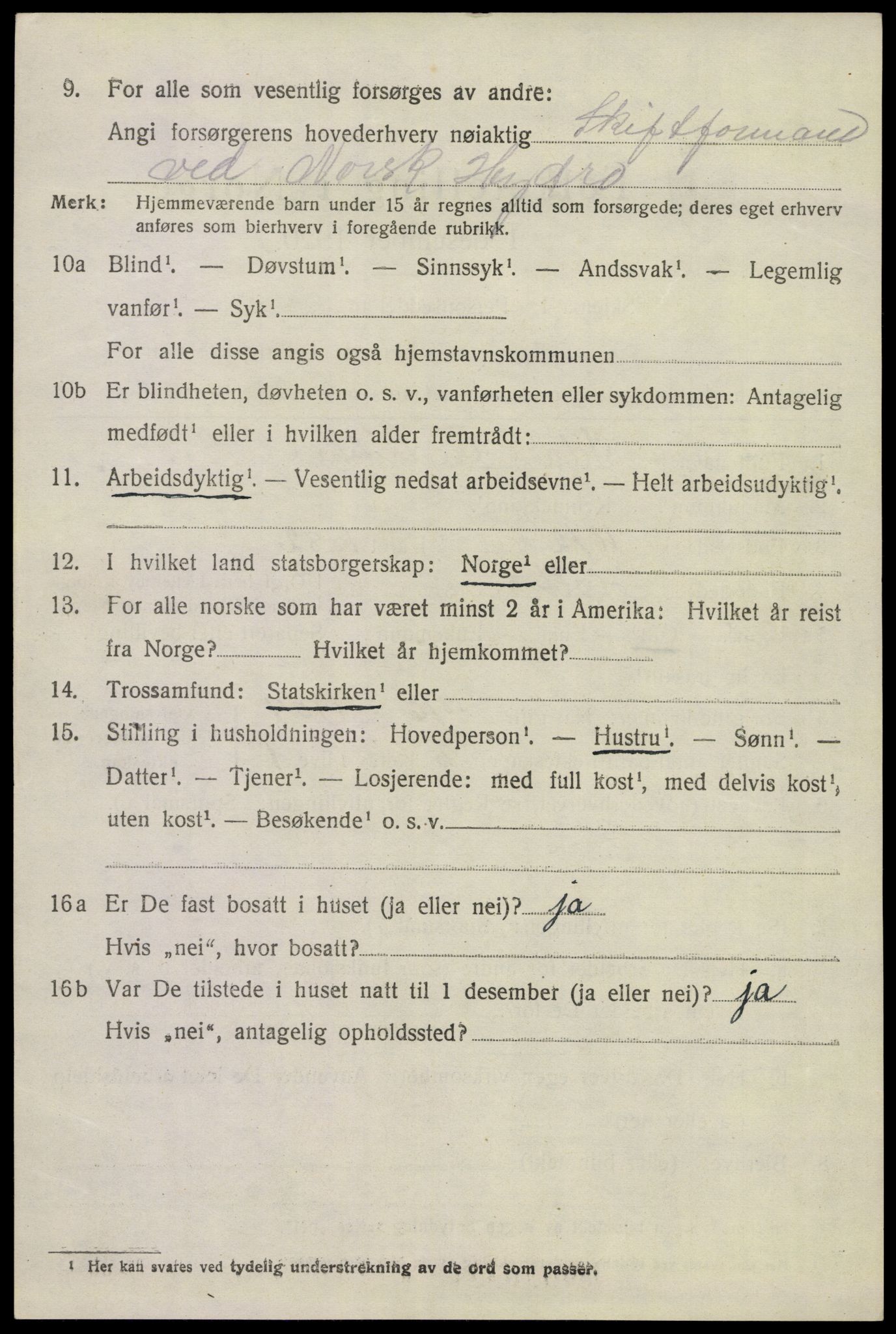 SAKO, 1920 census for Tinn, 1920, p. 13739