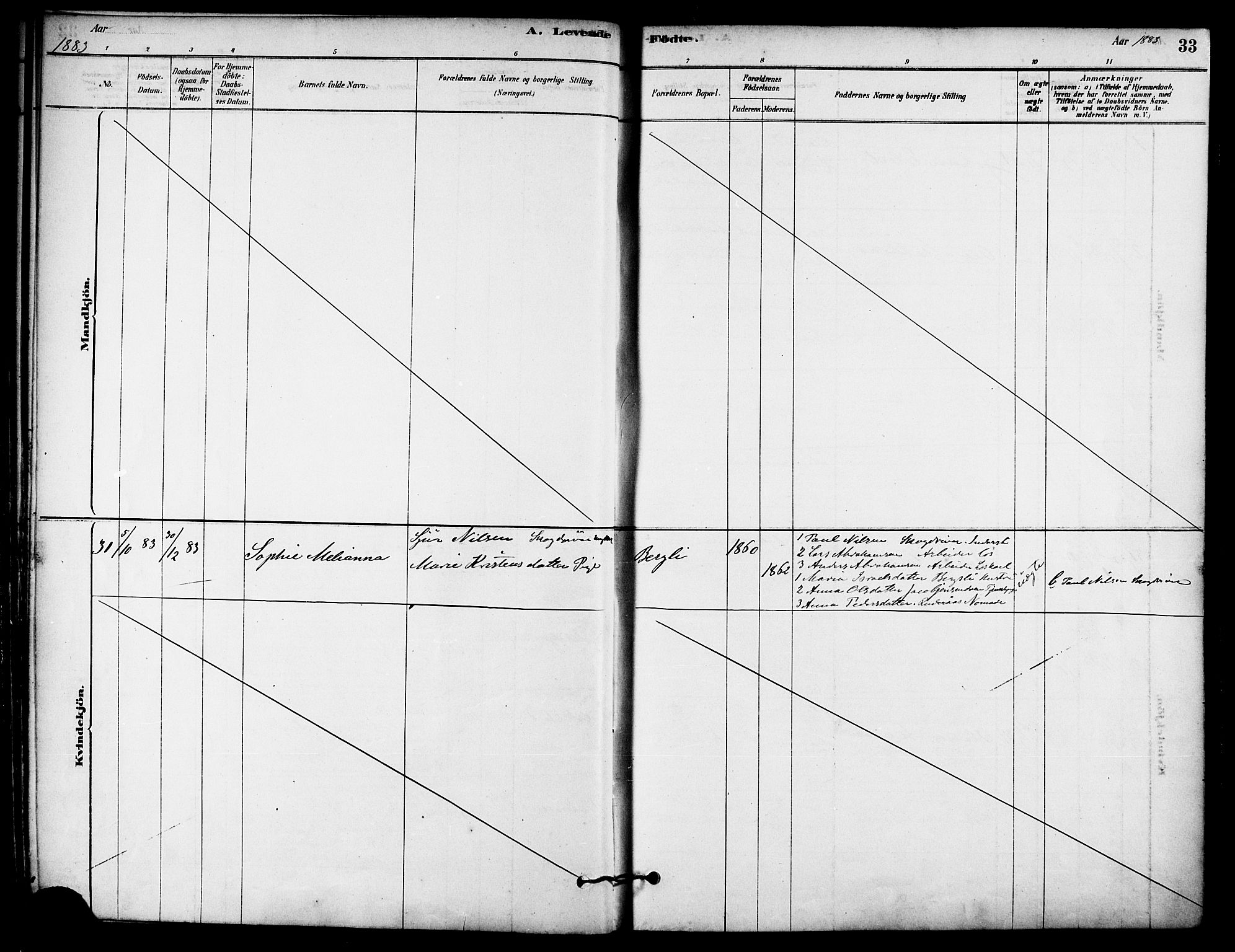 Ministerialprotokoller, klokkerbøker og fødselsregistre - Nordland, AV/SAT-A-1459/823/L0325: Parish register (official) no. 823A02, 1878-1898, p. 33