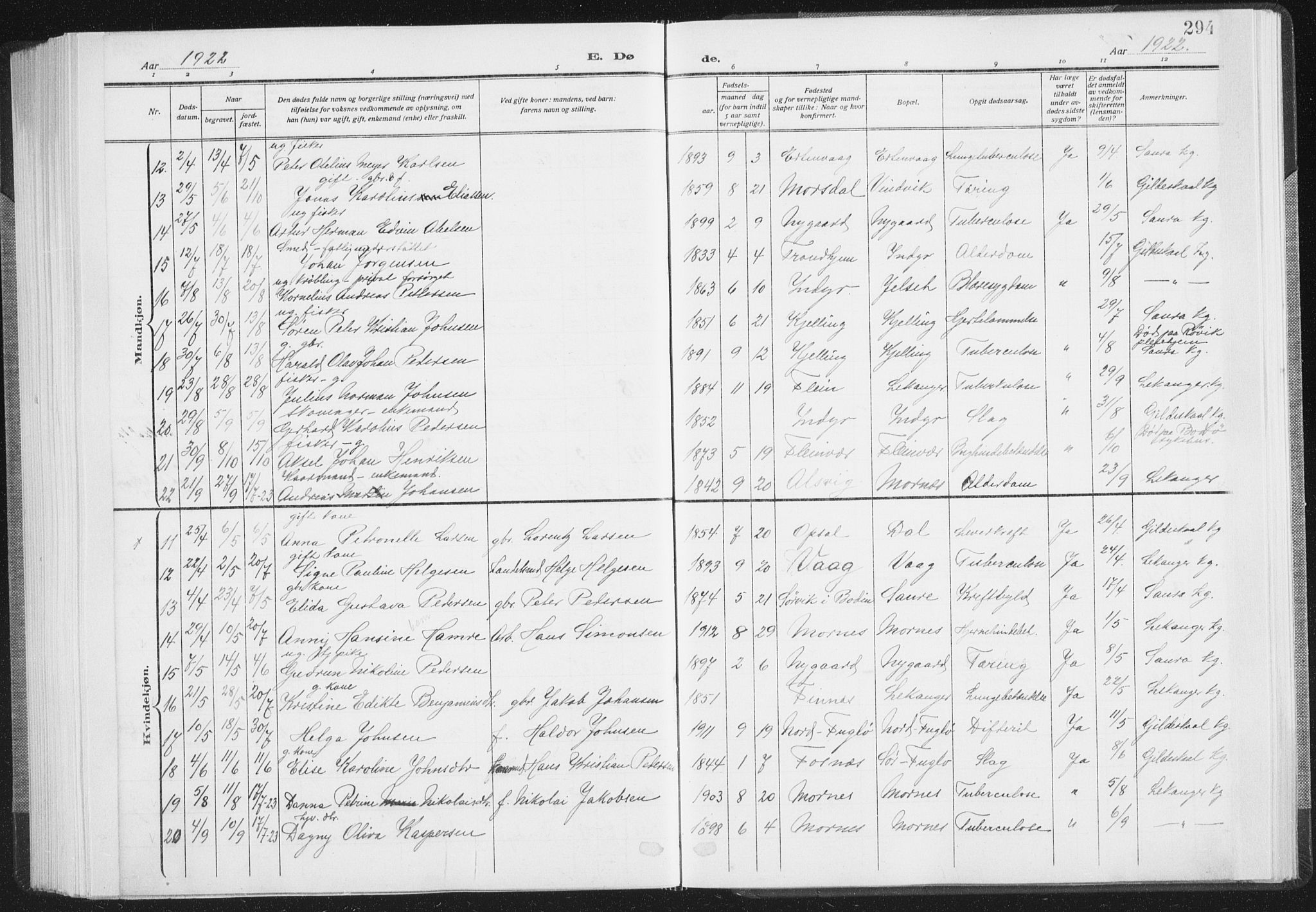 Ministerialprotokoller, klokkerbøker og fødselsregistre - Nordland, AV/SAT-A-1459/805/L0104: Parish register (official) no. 805A09, 1909-1926, p. 294