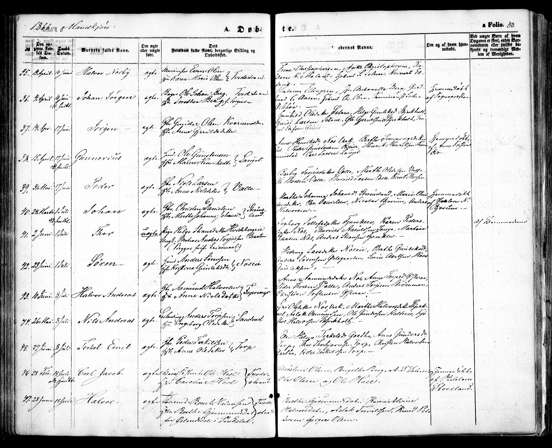 Holt sokneprestkontor, AV/SAK-1111-0021/F/Fa/L0009: Parish register (official) no. A 9, 1861-1871, p. 80