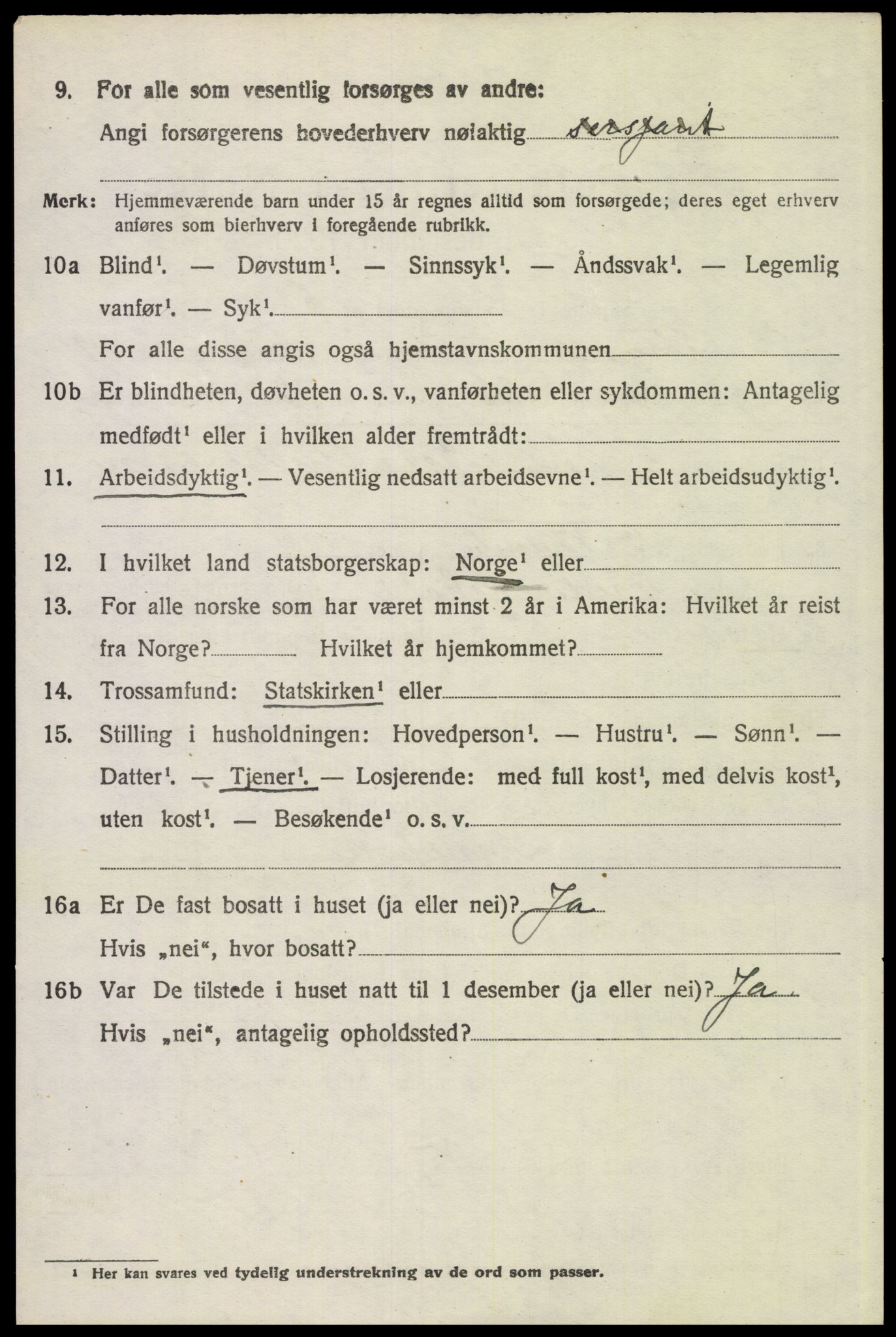 SAH, 1920 census for Trysil, 1920, p. 15536