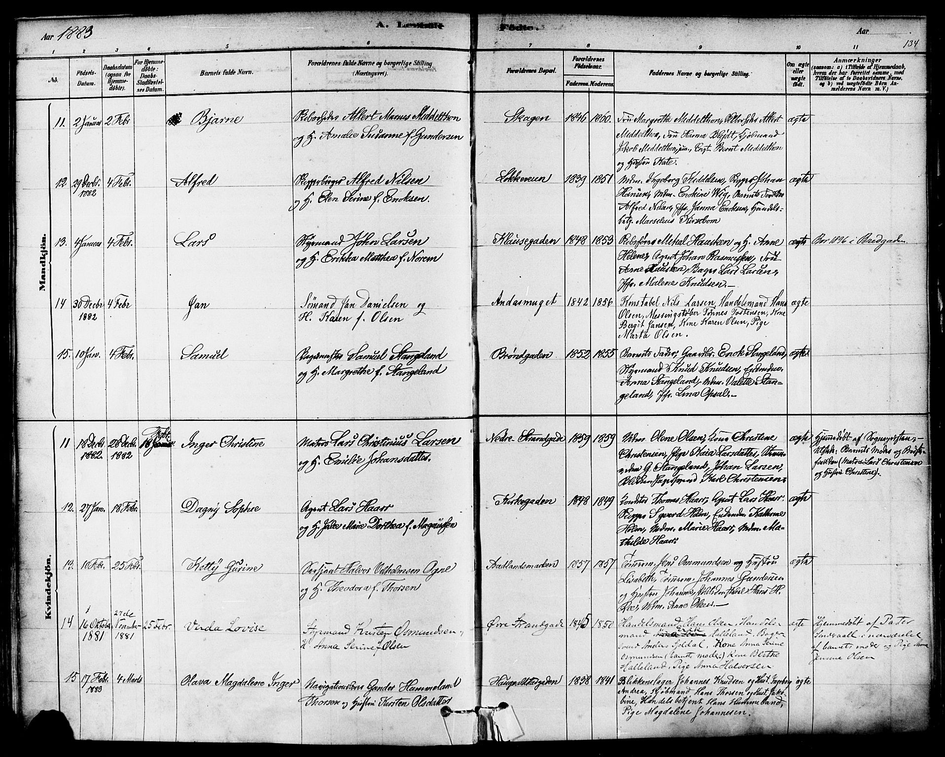 Domkirken sokneprestkontor, AV/SAST-A-101812/001/30/30BA/L0026: Parish register (official) no. A 25, 1878-1889, p. 134