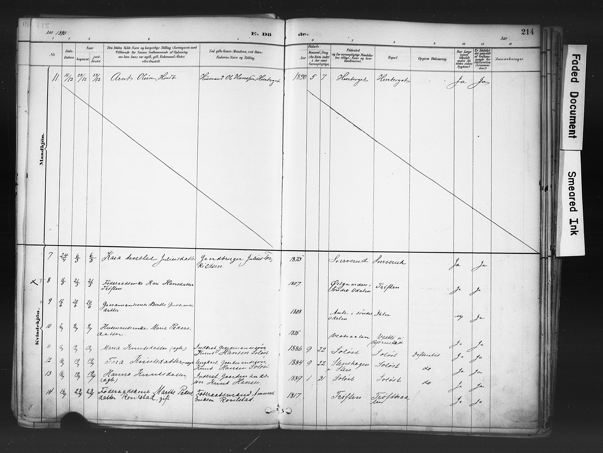 Nord-Odal prestekontor, AV/SAH-PREST-032/H/Ha/Haa/L0006: Parish register (official) no. 6, 1886-1901, p. 214