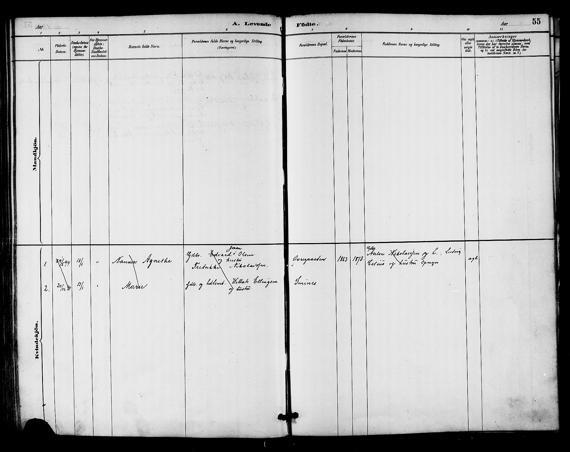 Ministerialprotokoller, klokkerbøker og fødselsregistre - Nordland, AV/SAT-A-1459/893/L1337: Parish register (official) no. 893A09, 1885-1893, p. 55