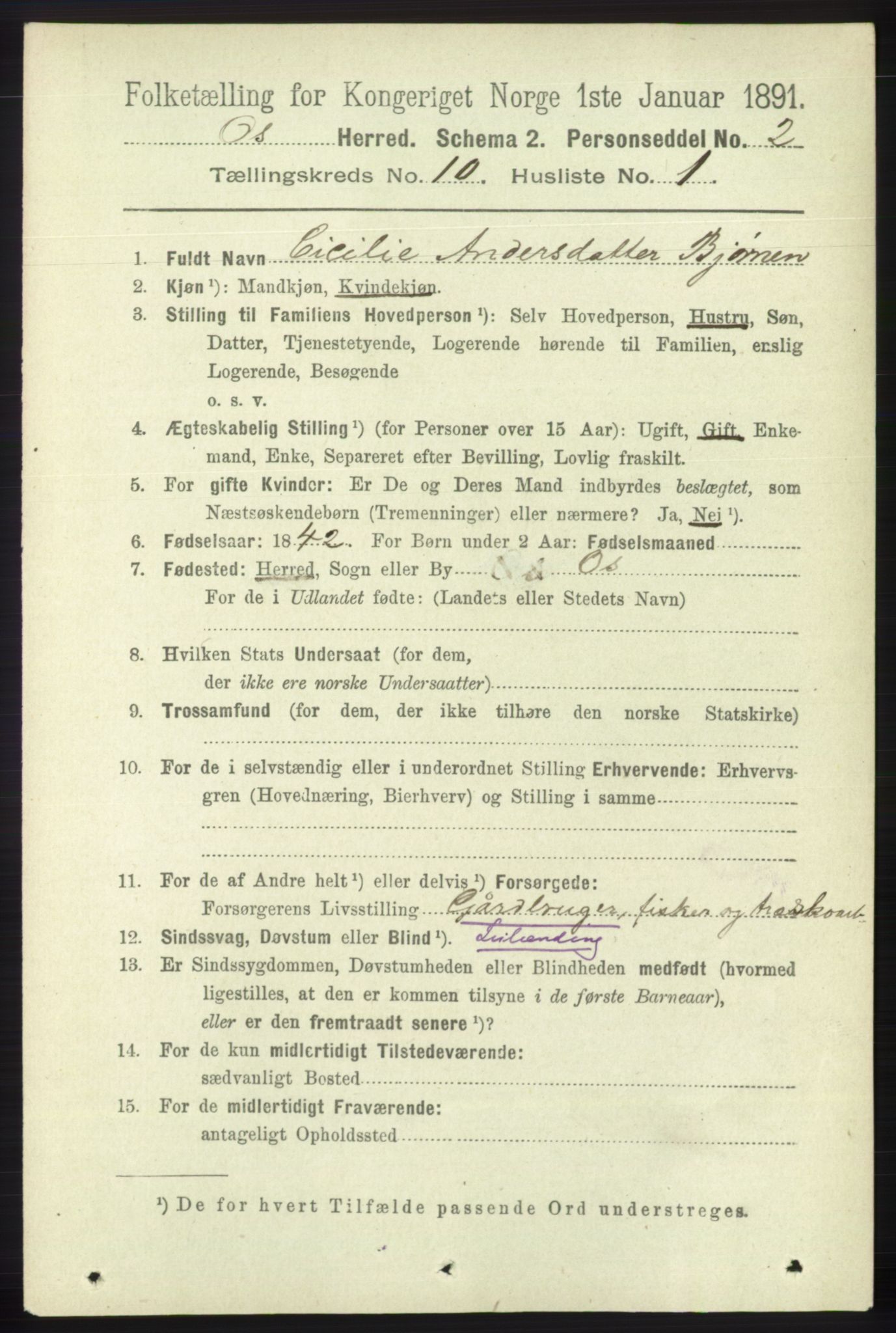 RA, 1891 census for 1243 Os, 1891, p. 2260