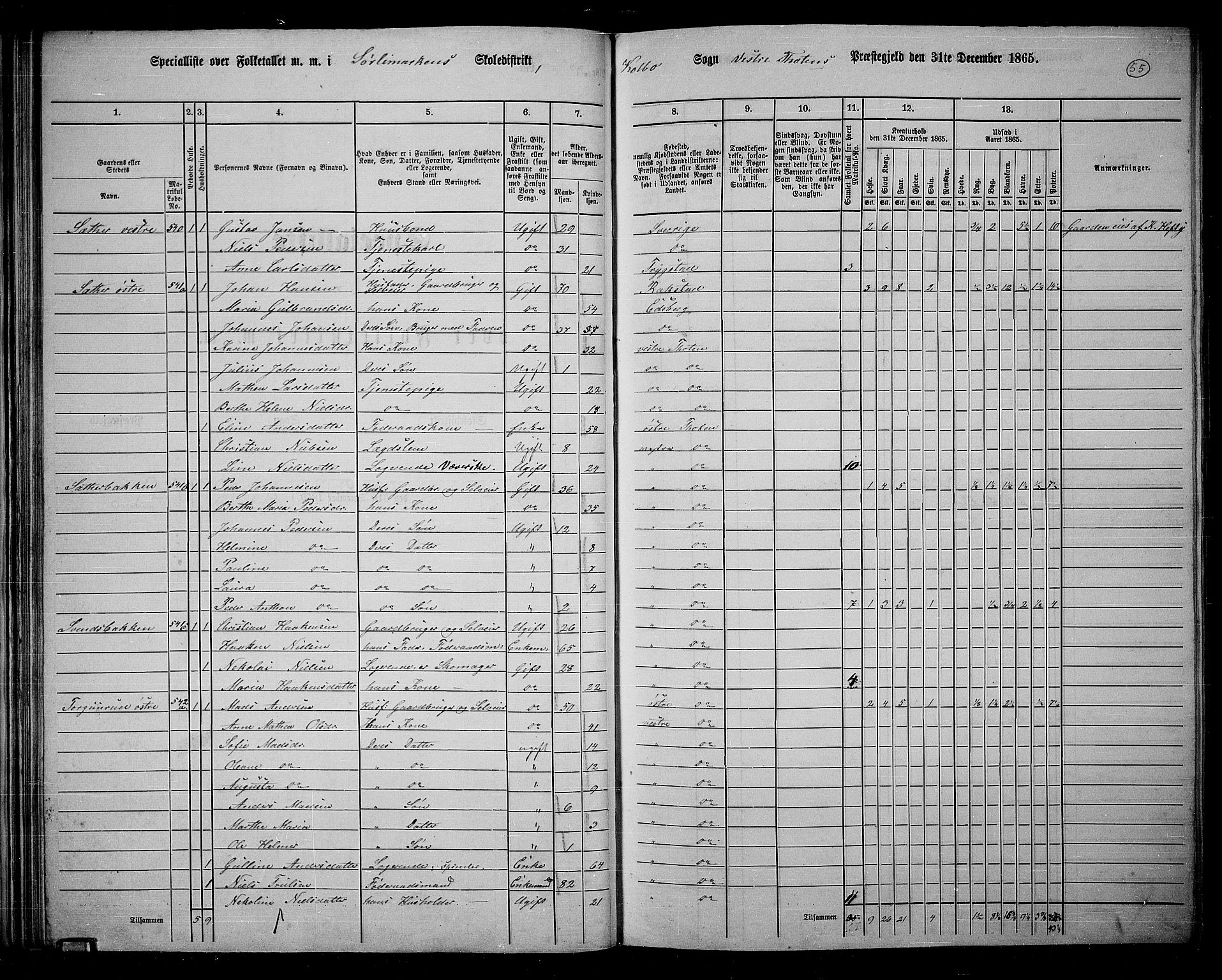 RA, 1865 census for Vestre Toten, 1865, p. 212