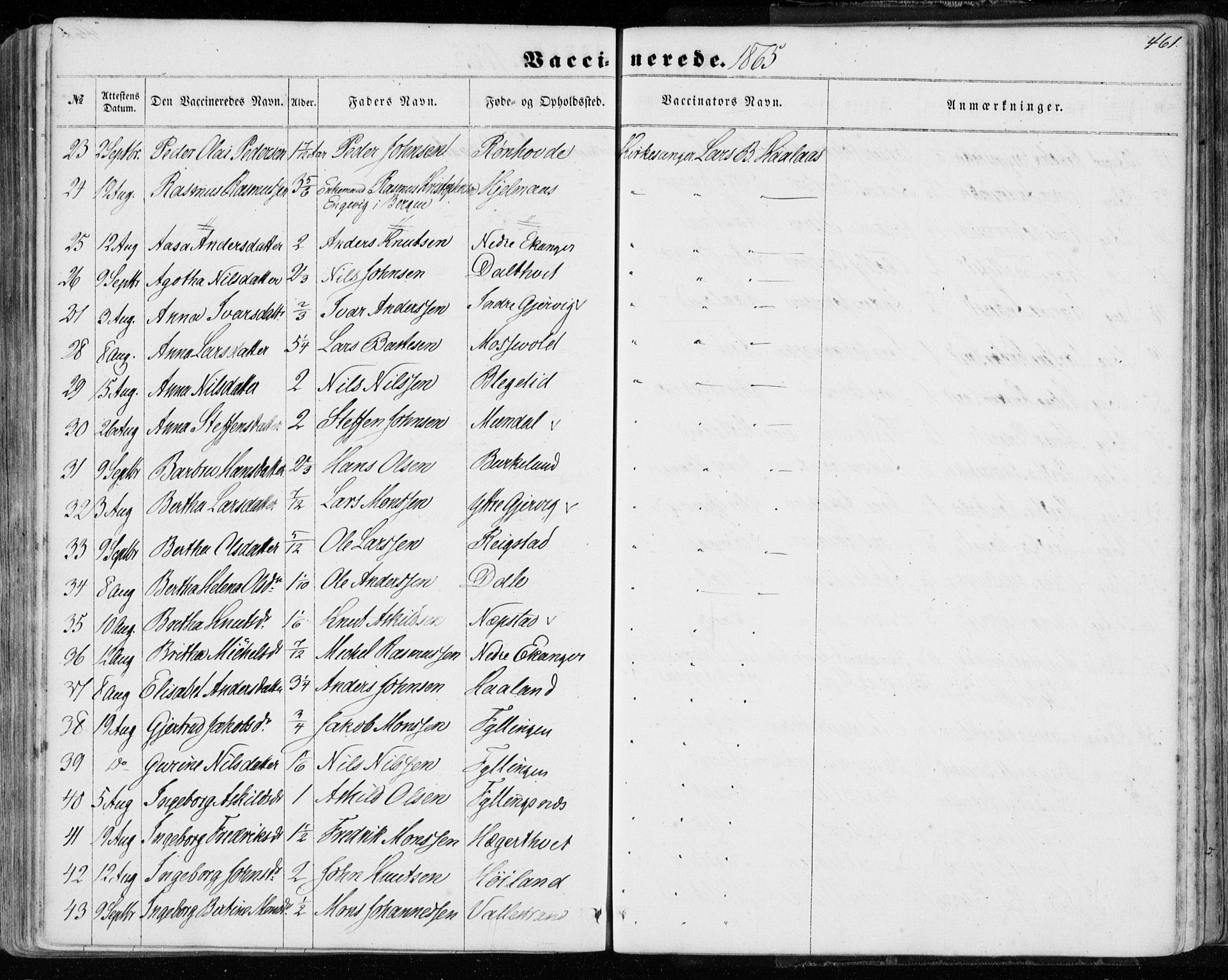 Hamre sokneprestembete, SAB/A-75501/H/Ha/Haa/Haaa/L0014: Parish register (official) no. A 14, 1858-1872, p. 461