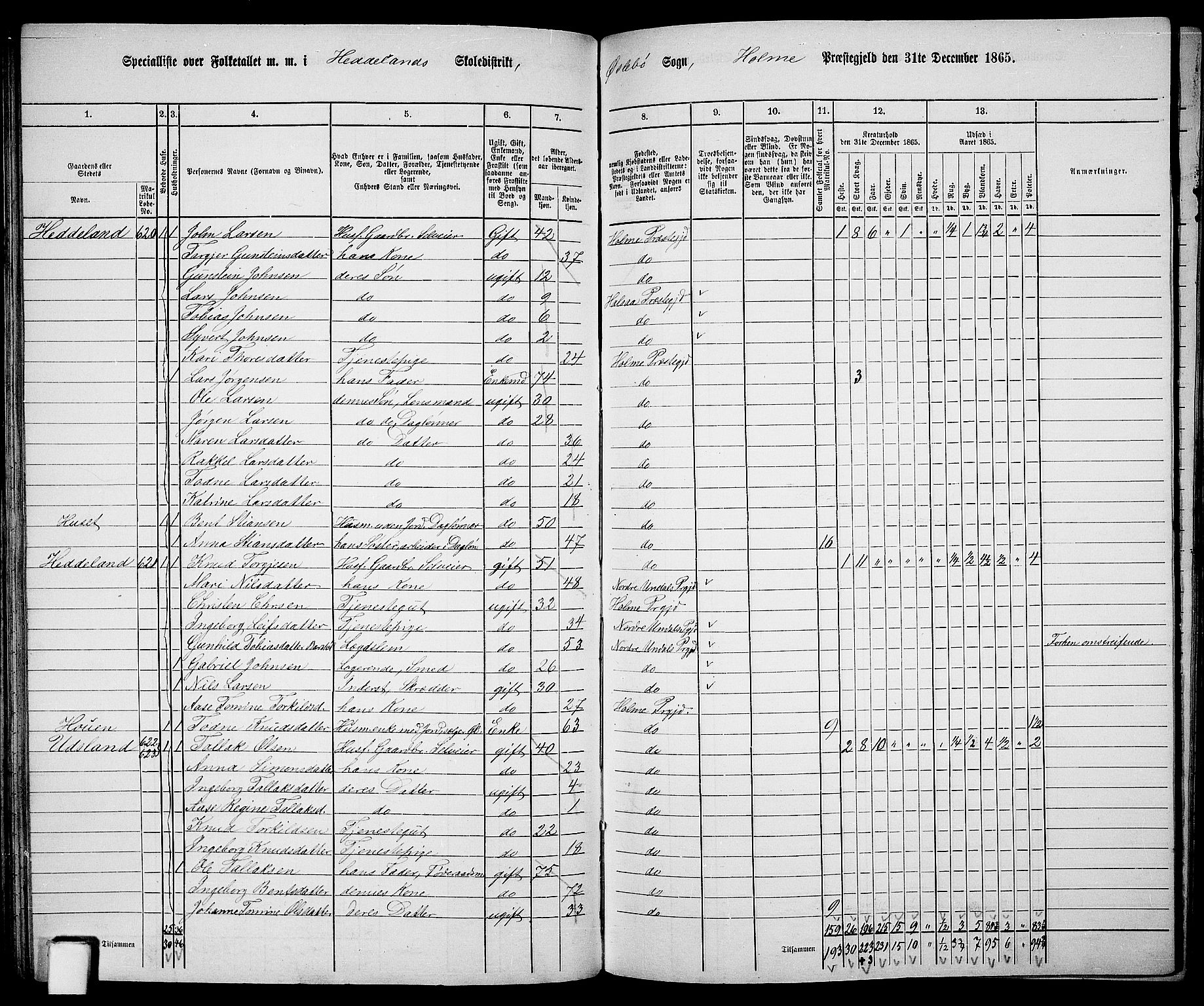 RA, 1865 census for Holum, 1865, p. 94