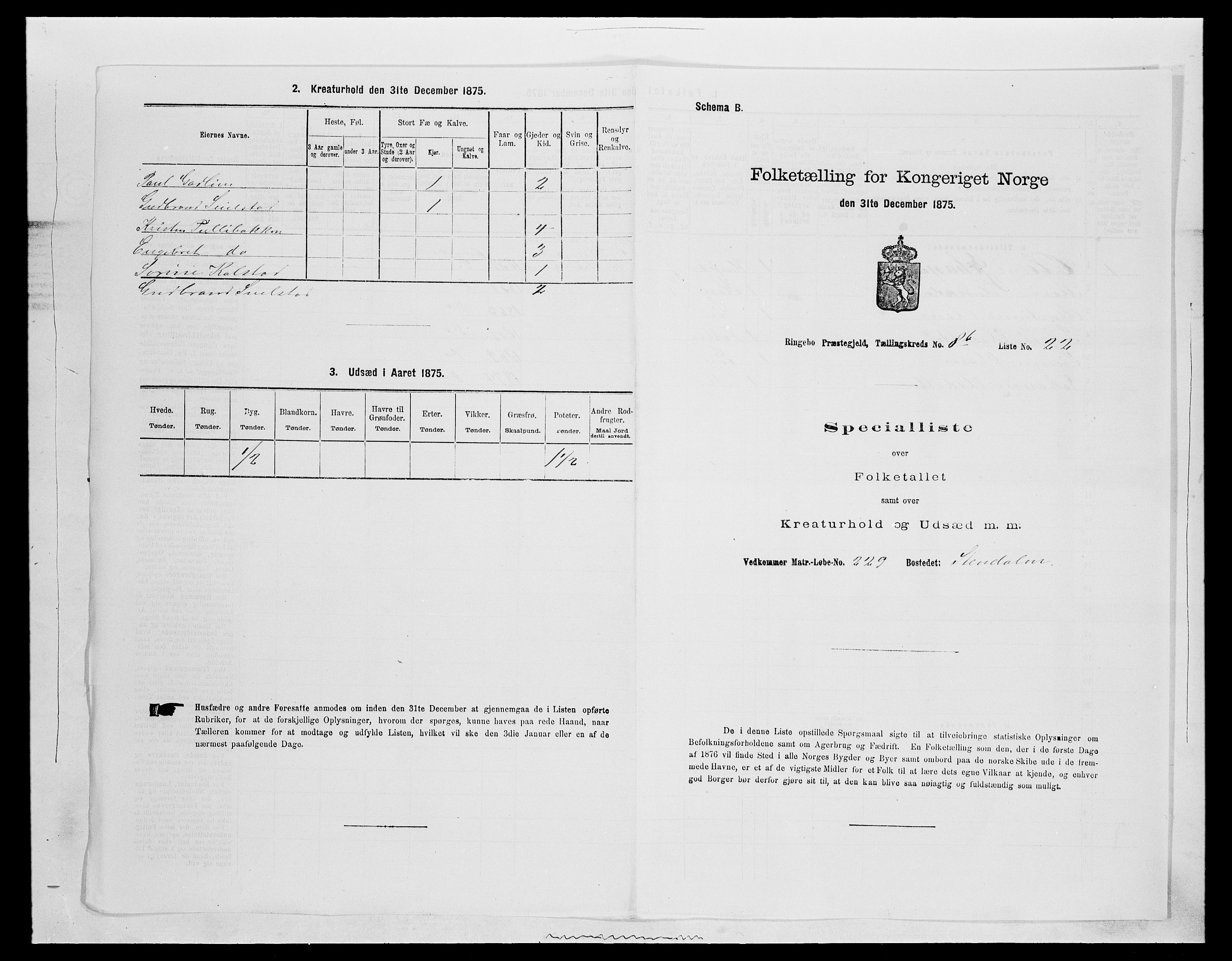 SAH, 1875 census for 0520P Ringebu, 1875, p. 1314