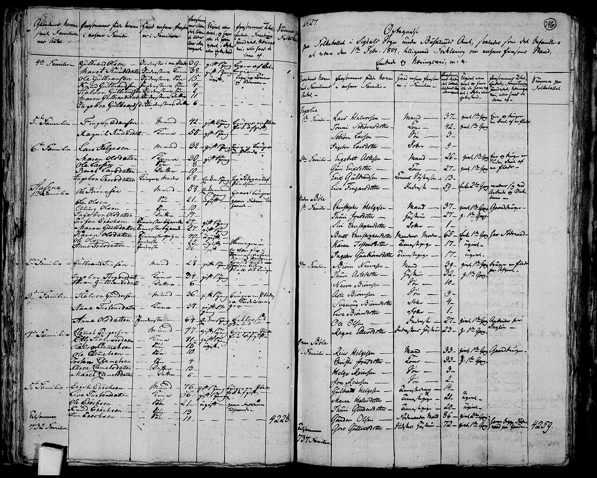 RA, 1801 census for 0621P Sigdal, 1801, p. 295b-296a