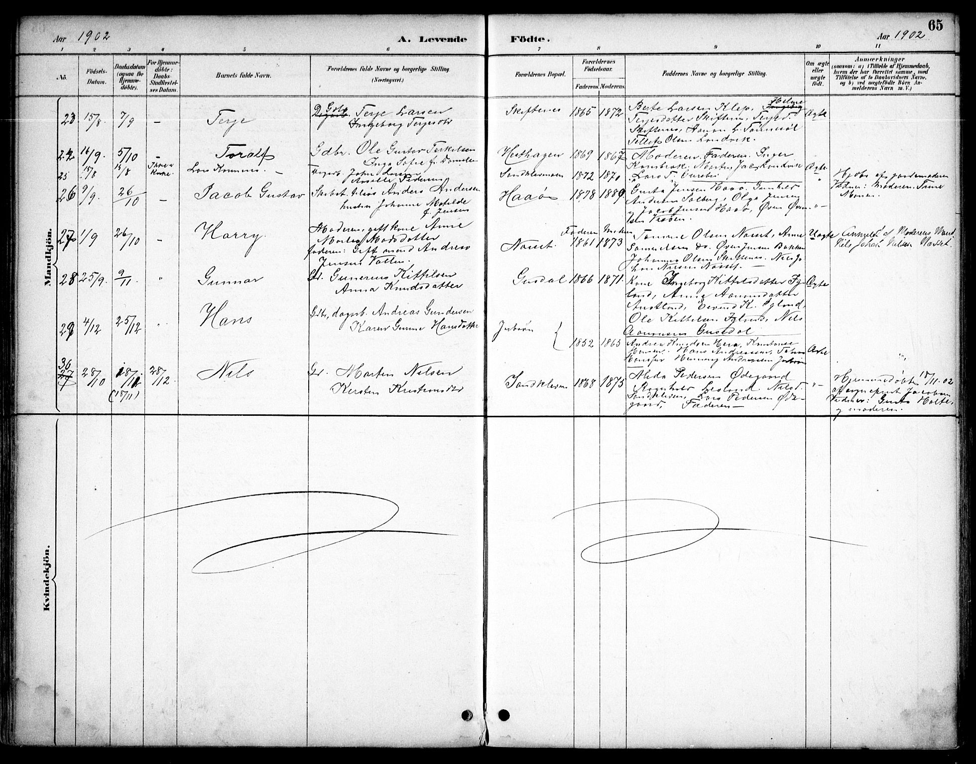 Hommedal sokneprestkontor, SAK/1111-0023/F/Fb/Fbb/L0007: Parish register (copy) no. B 7, 1885-1904, p. 65
