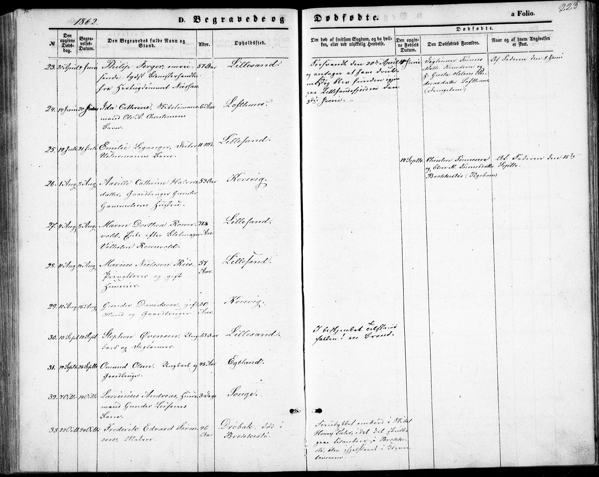 Vestre Moland sokneprestkontor, AV/SAK-1111-0046/F/Fb/Fbb/L0004: Parish register (copy) no. B 4, 1861-1872, p. 223