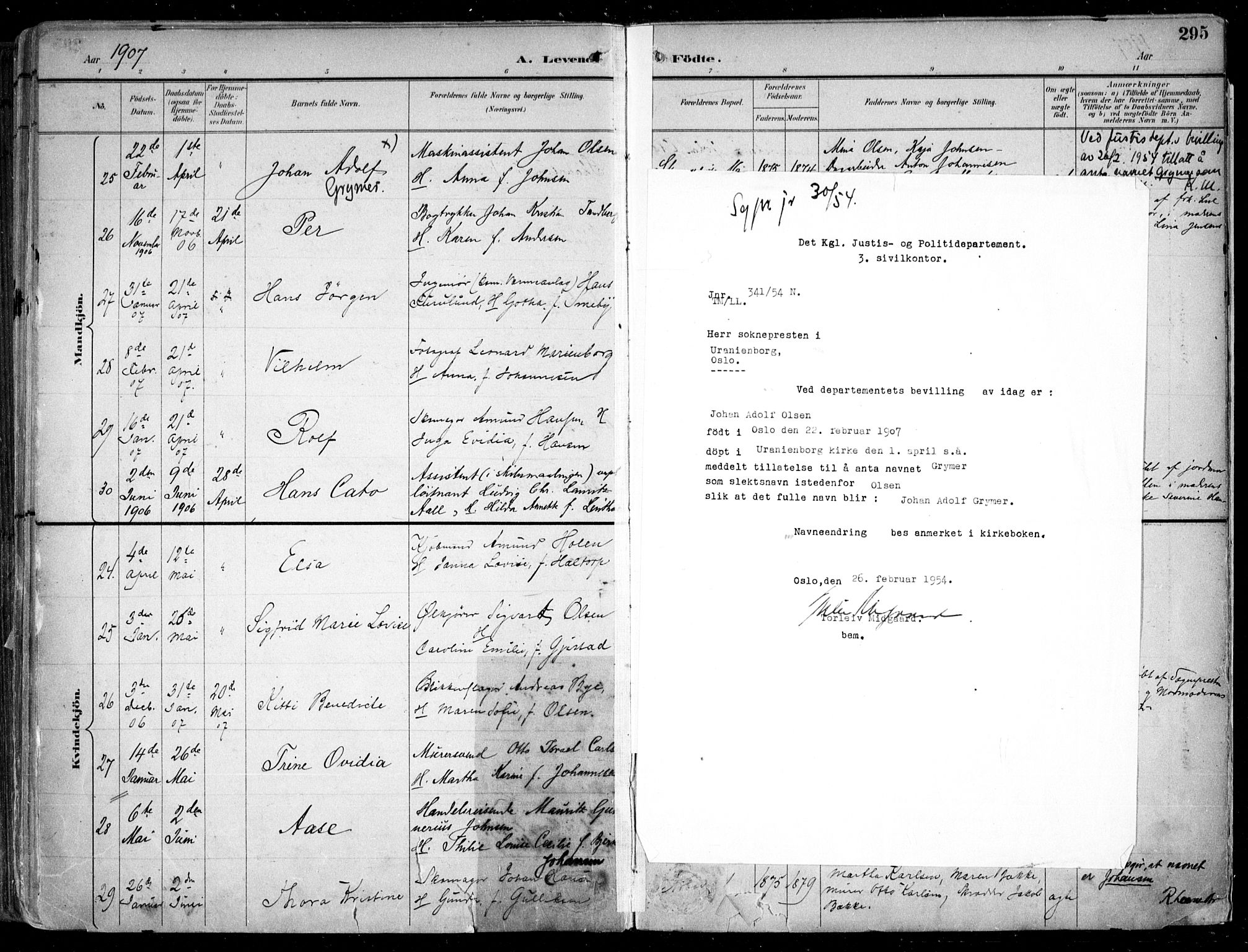 Uranienborg prestekontor Kirkebøker, AV/SAO-A-10877/F/Fa/L0005: Parish register (official) no. 5, 1895-1907, p. 295