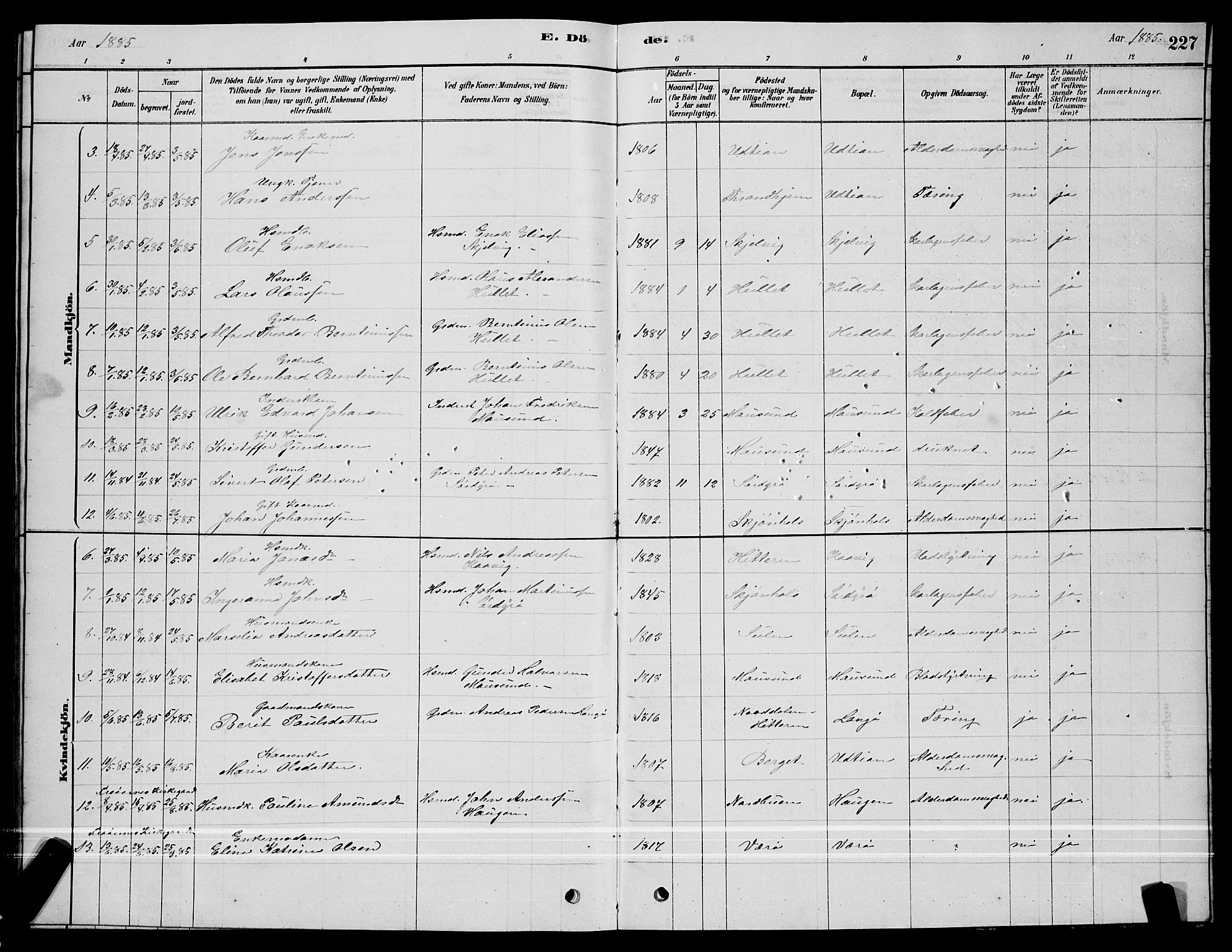 Ministerialprotokoller, klokkerbøker og fødselsregistre - Sør-Trøndelag, SAT/A-1456/640/L0585: Parish register (copy) no. 640C03, 1878-1891, p. 227
