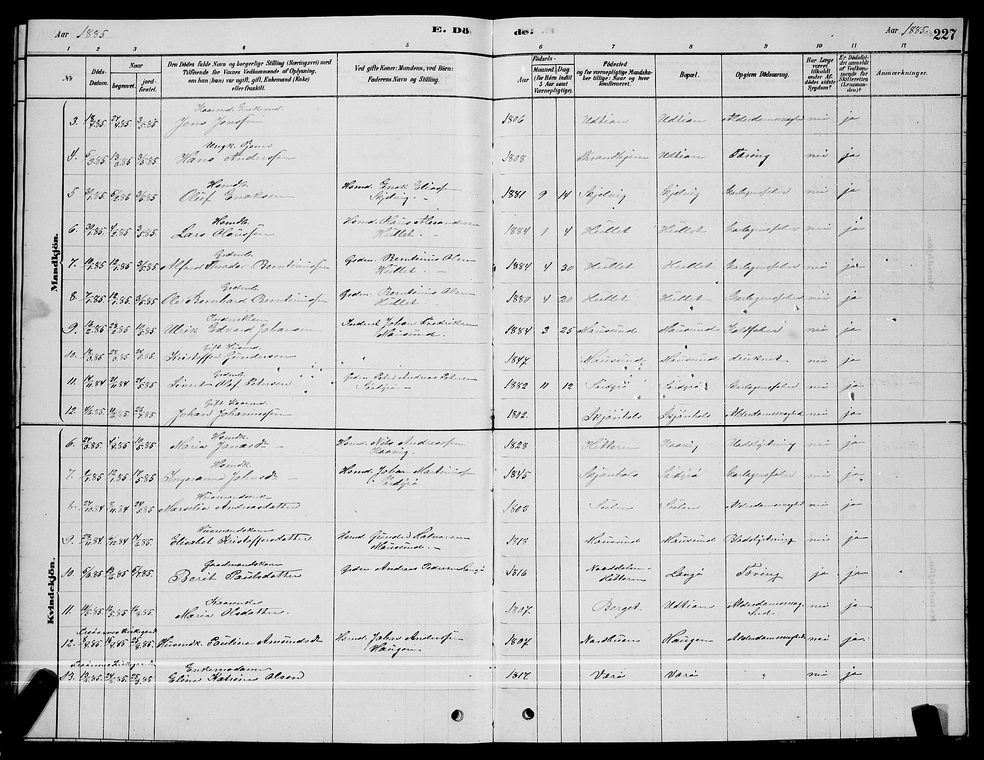 Ministerialprotokoller, klokkerbøker og fødselsregistre - Sør-Trøndelag, AV/SAT-A-1456/640/L0585: Parish register (copy) no. 640C03, 1878-1891, p. 227