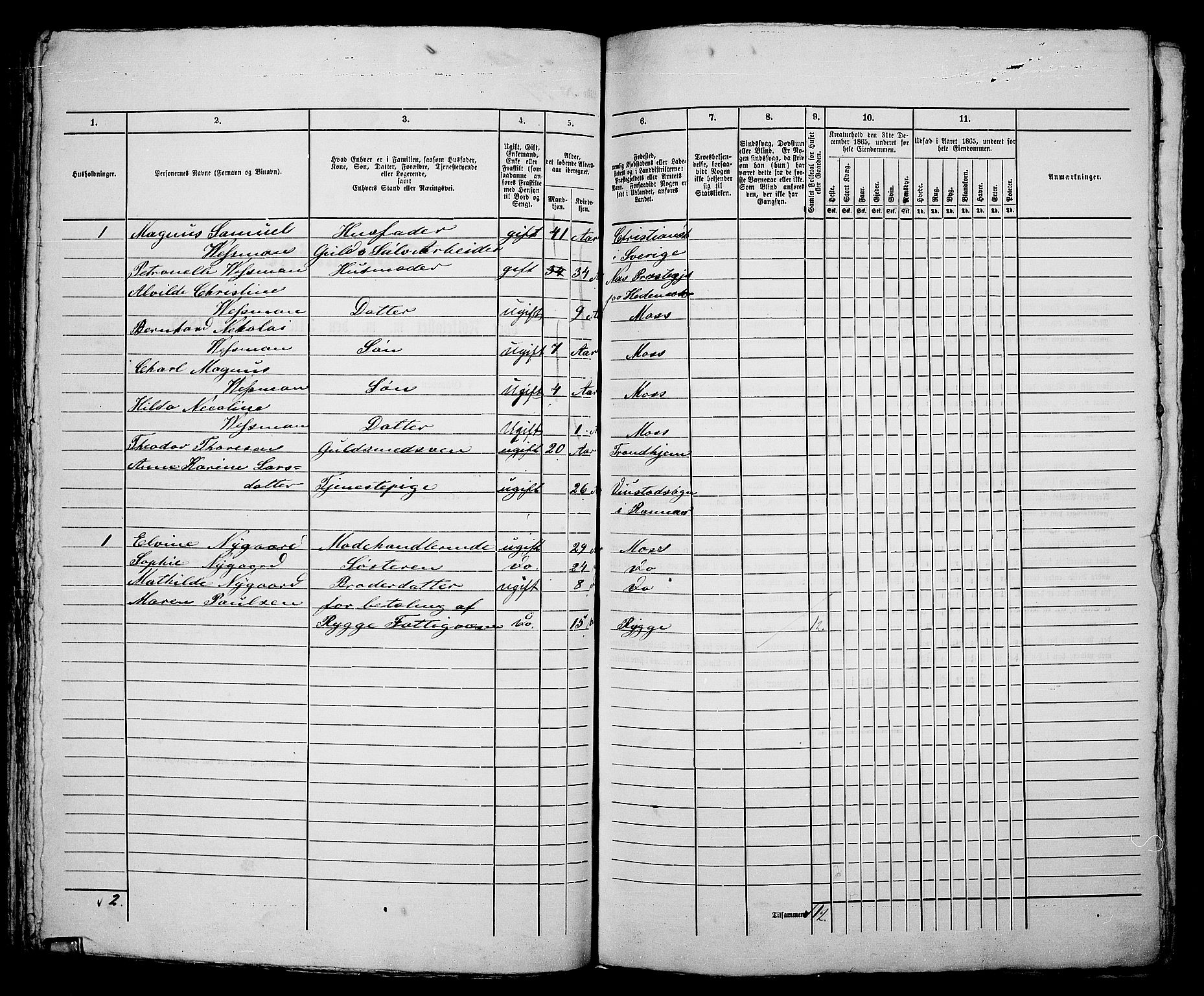 RA, 1865 census for Moss/Moss, 1865, p. 160