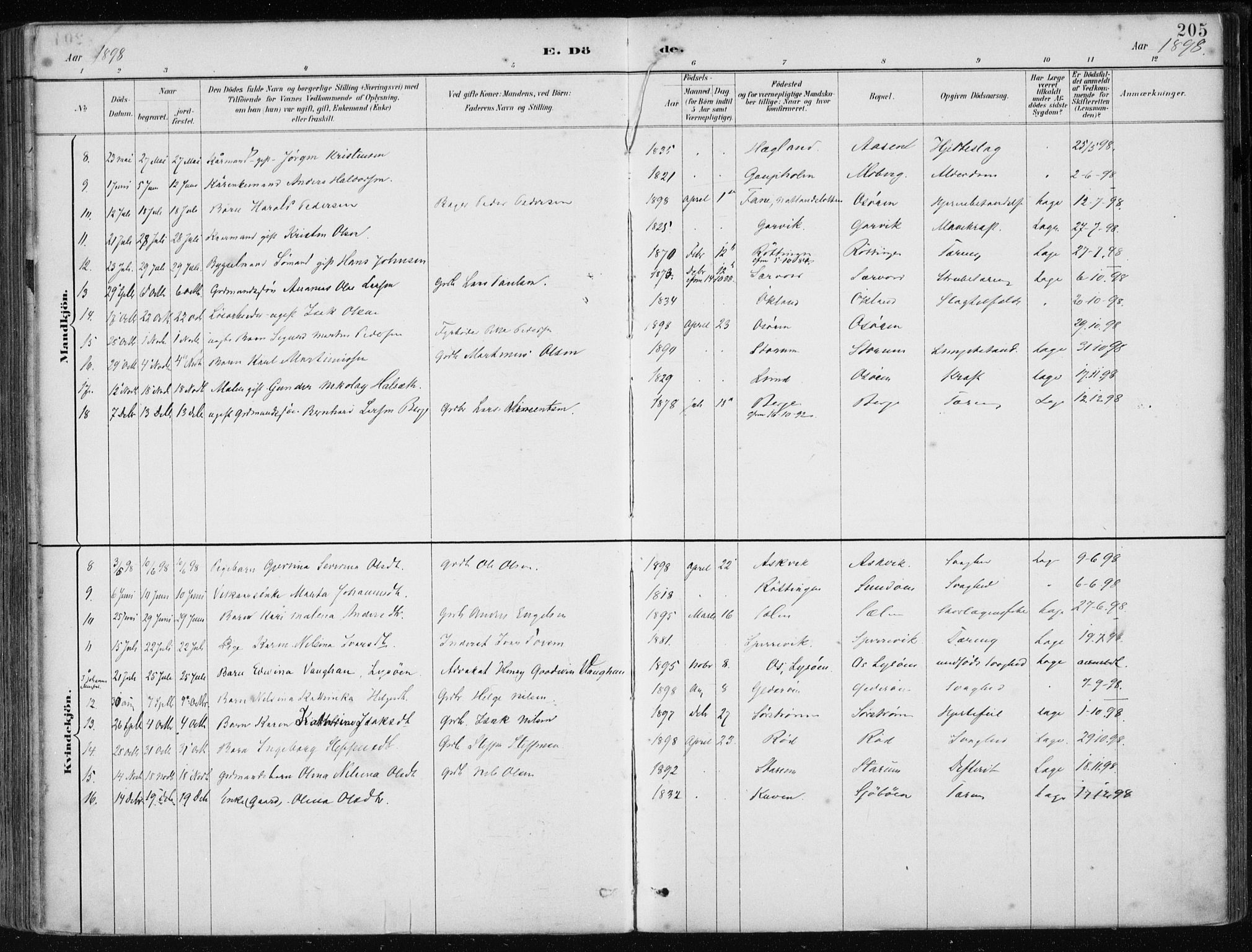 Os sokneprestembete, SAB/A-99929: Parish register (official) no. B 1, 1885-1902, p. 205