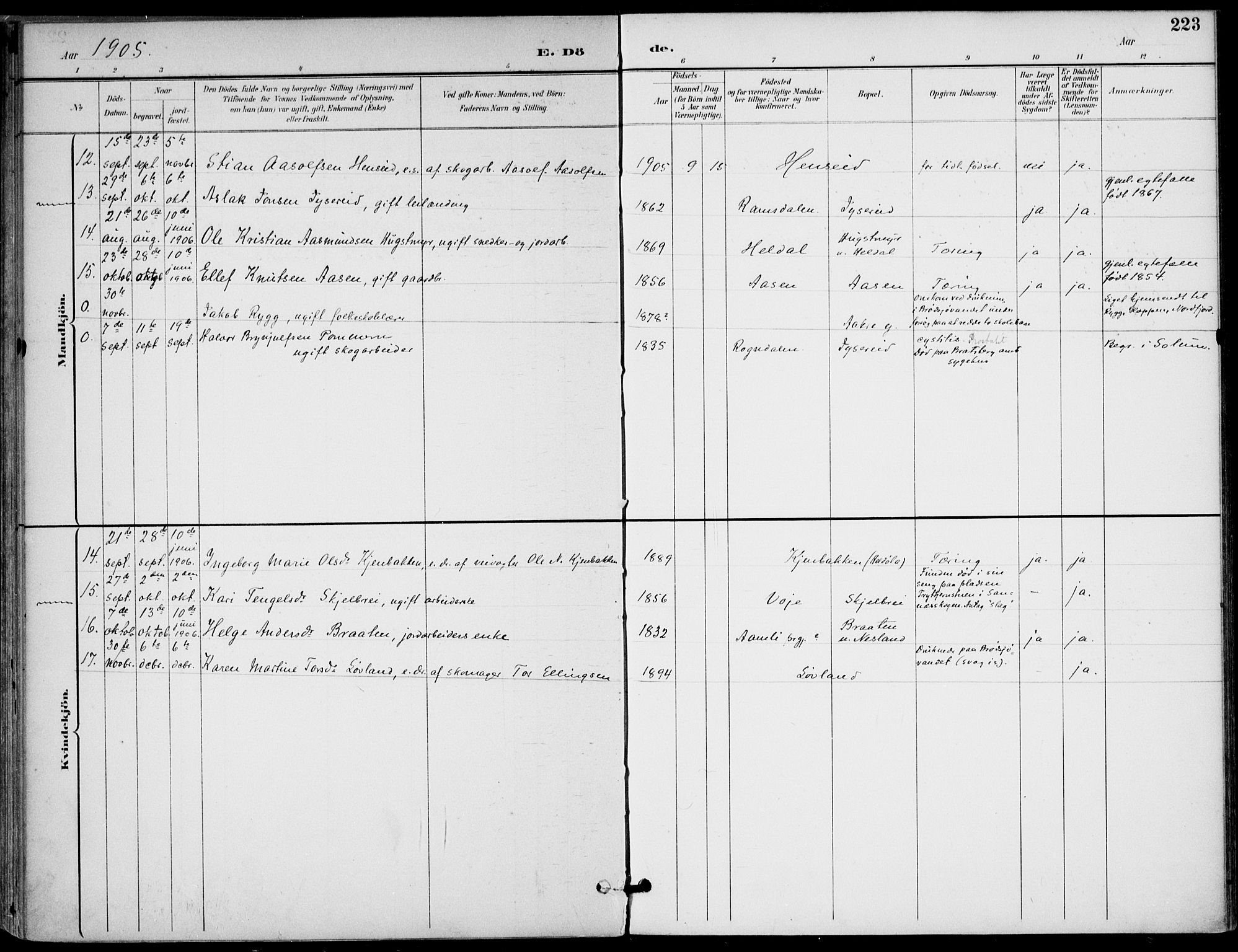 Drangedal kirkebøker, SAKO/A-258/F/Fa/L0012: Parish register (official) no. 12, 1895-1905, p. 223