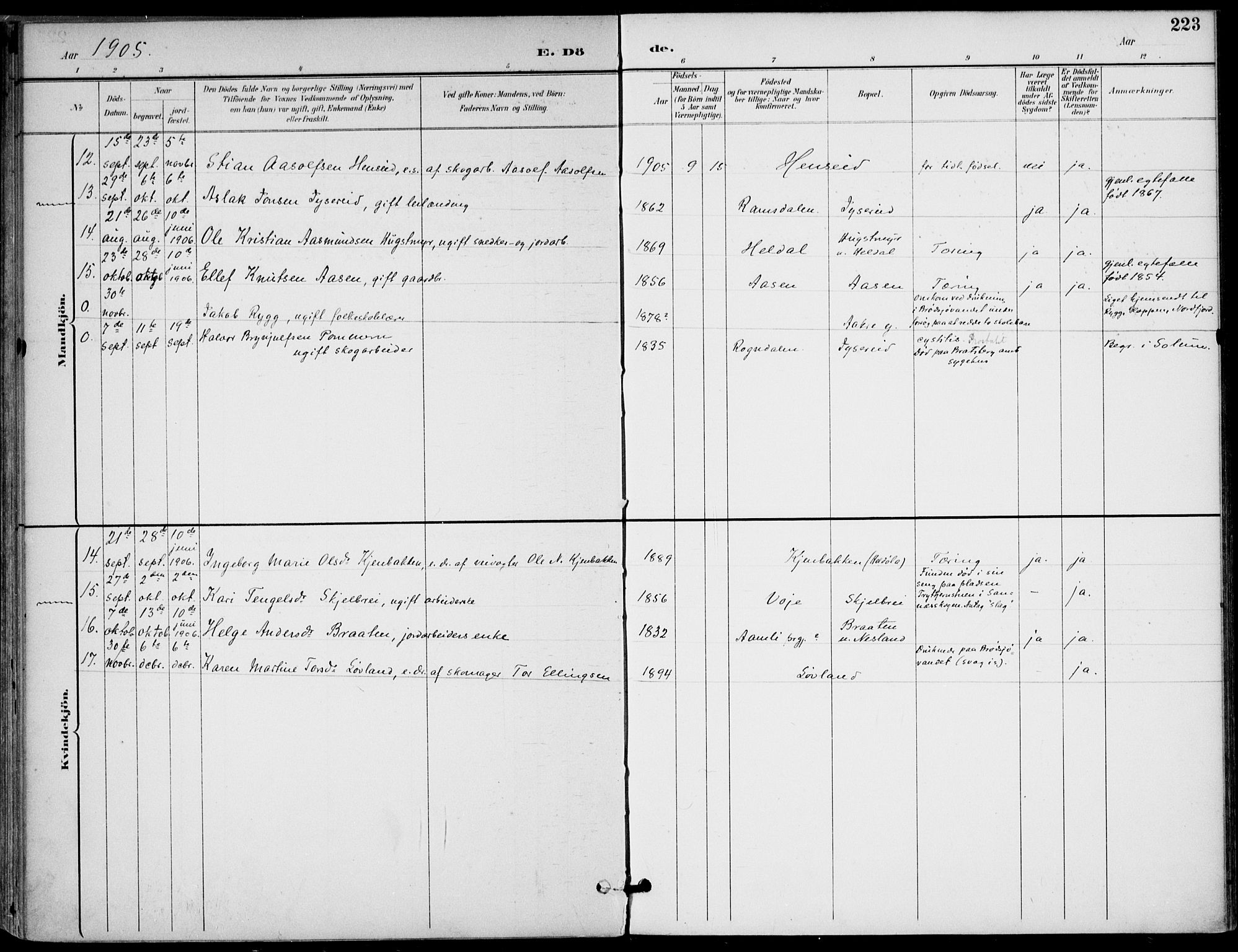 Drangedal kirkebøker, AV/SAKO-A-258/F/Fa/L0012: Parish register (official) no. 12, 1895-1905, p. 223