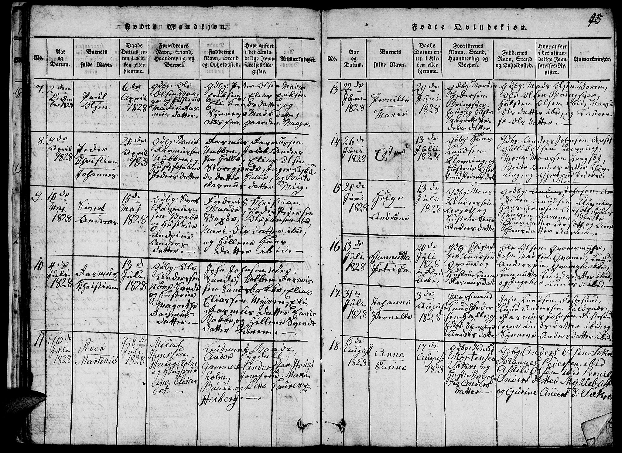 Ministerialprotokoller, klokkerbøker og fødselsregistre - Møre og Romsdal, SAT/A-1454/503/L0046: Parish register (copy) no. 503C01, 1816-1842, p. 45