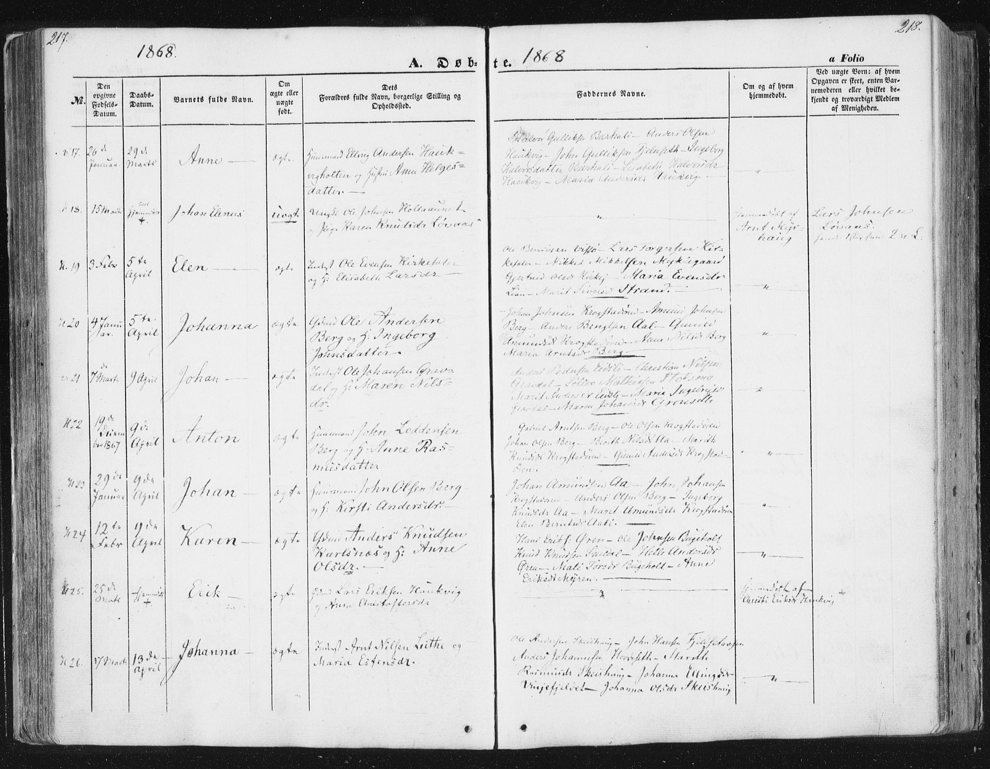 Ministerialprotokoller, klokkerbøker og fødselsregistre - Sør-Trøndelag, SAT/A-1456/630/L0494: Parish register (official) no. 630A07, 1852-1868, p. 217-218