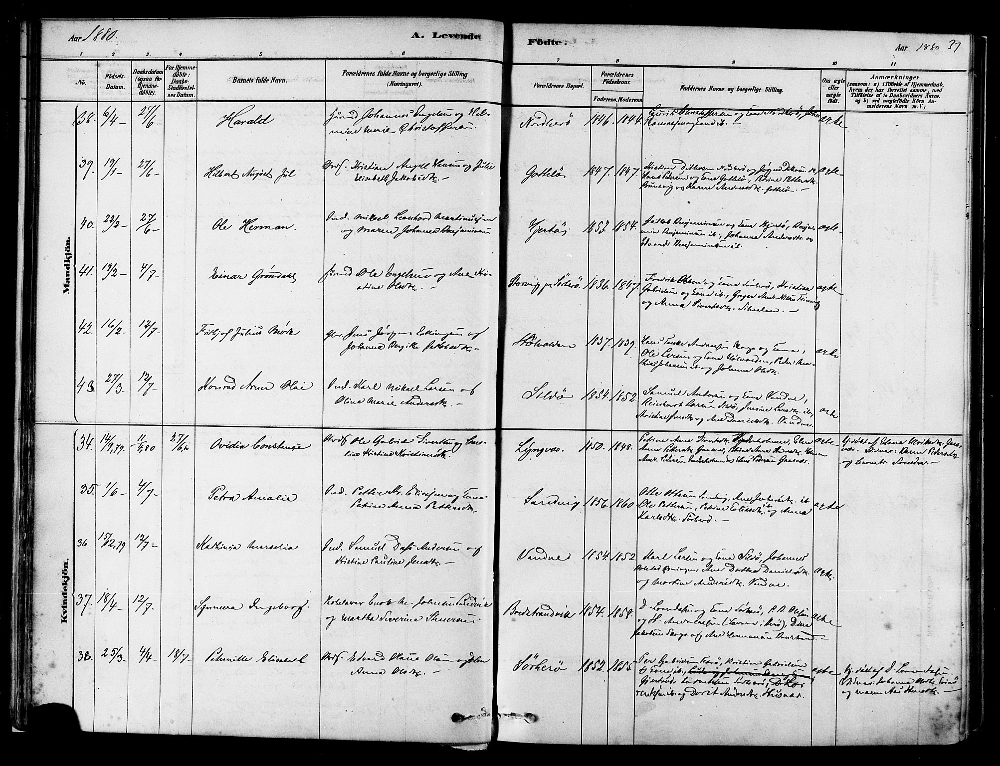 Ministerialprotokoller, klokkerbøker og fødselsregistre - Nordland, SAT/A-1459/834/L0507: Parish register (official) no. 834A05, 1878-1892, p. 37