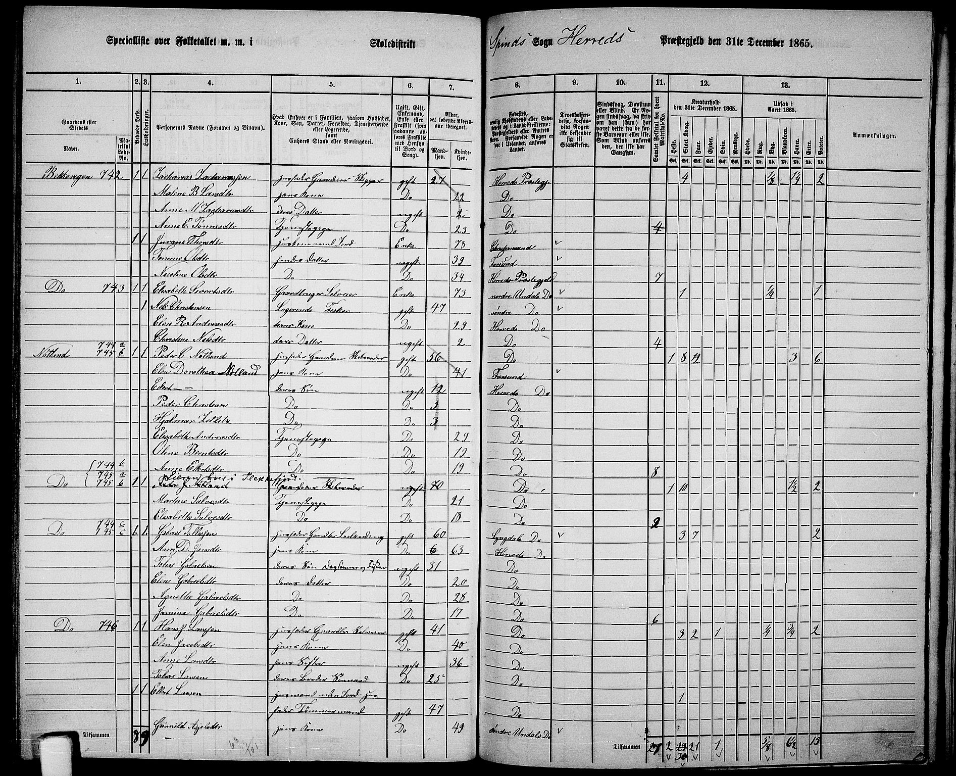 RA, 1865 census for Herad, 1865, p. 77