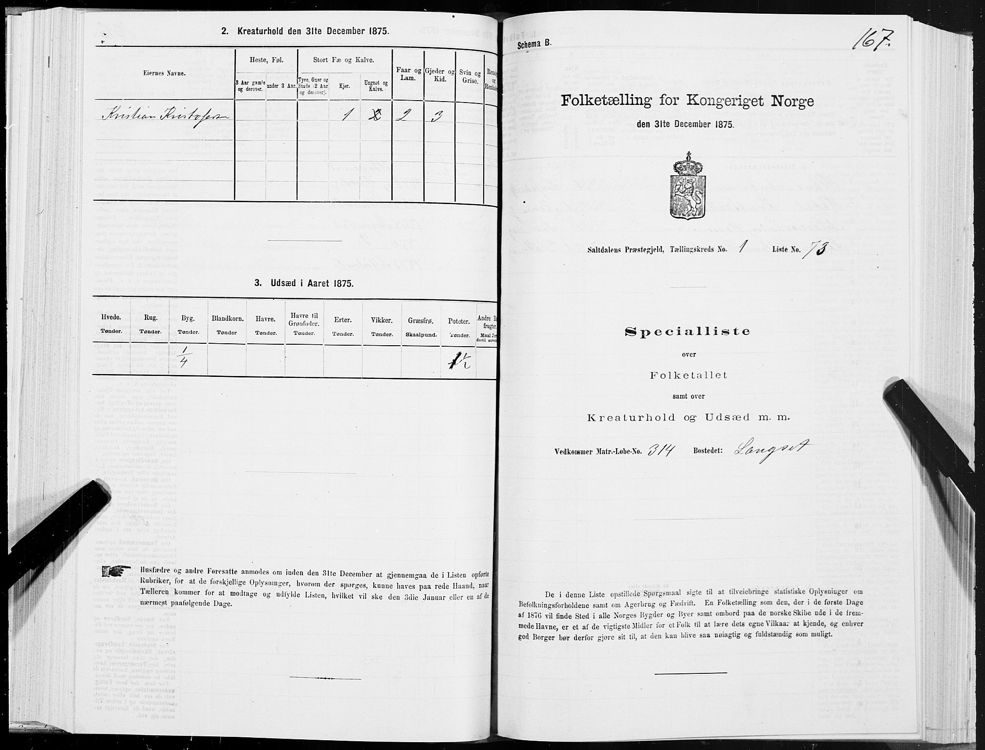 SAT, 1875 census for 1840P Saltdal, 1875, p. 1167