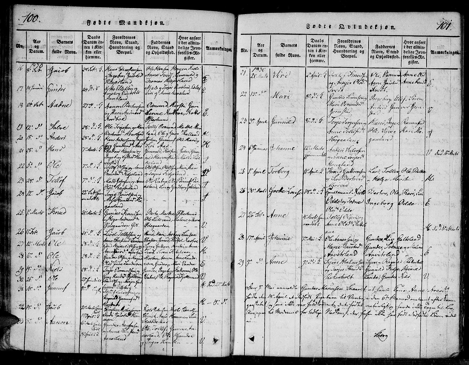 Evje sokneprestkontor, AV/SAK-1111-0008/F/Fa/Faa/L0004: Parish register (official) no. A 4, 1816-1840, p. 100-101