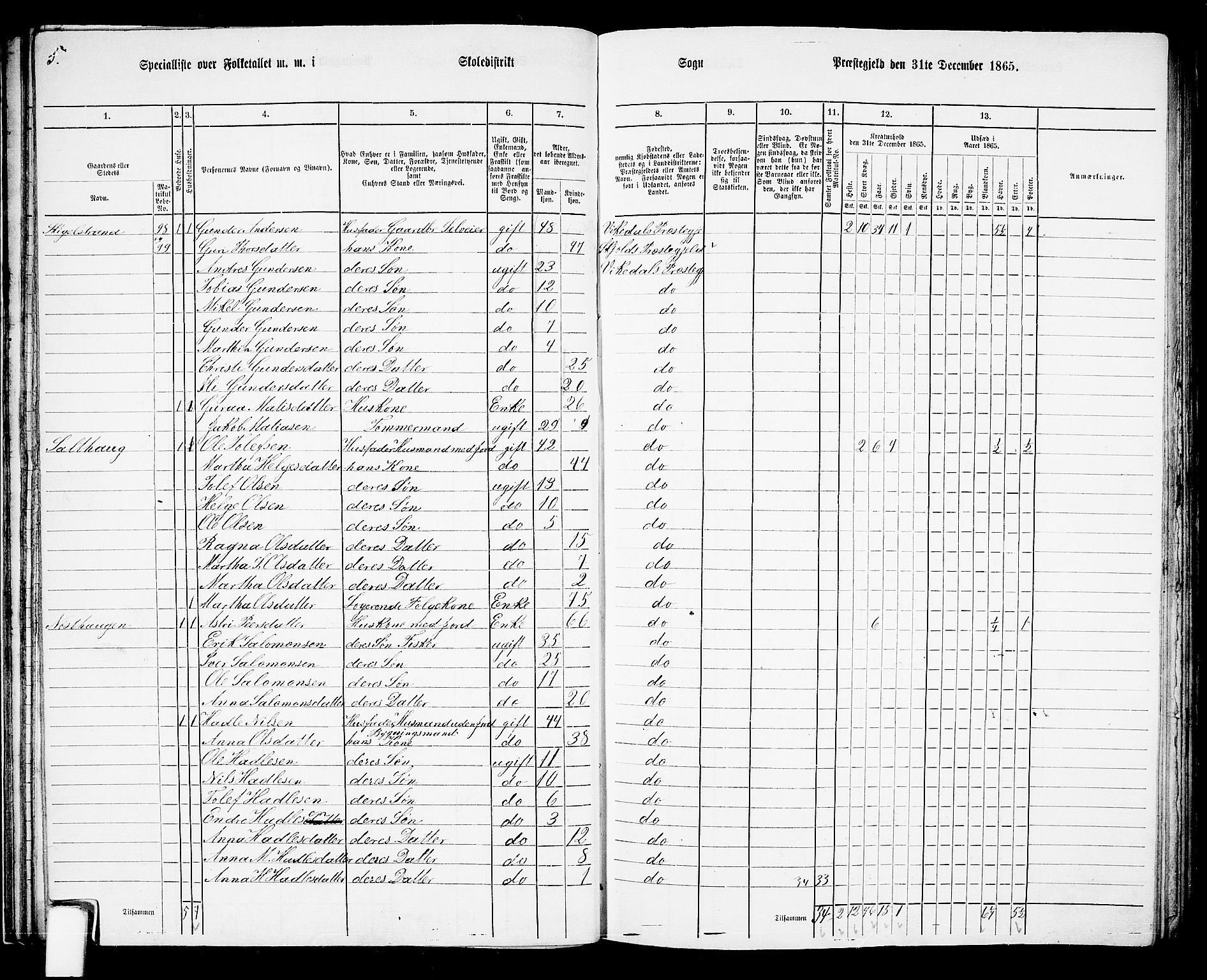 RA, 1865 census for Vikedal, 1865, p. 46