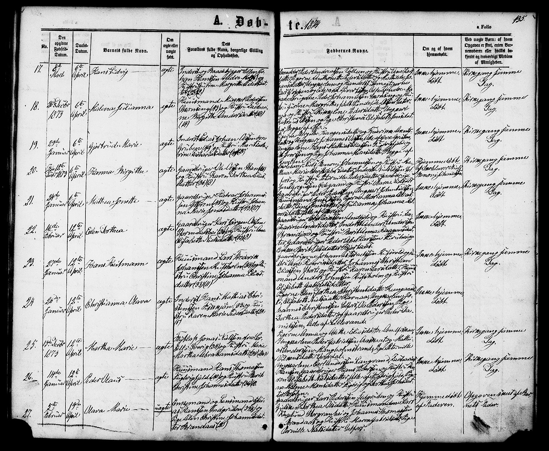 Ministerialprotokoller, klokkerbøker og fødselsregistre - Nordland, AV/SAT-A-1459/827/L0393: Parish register (official) no. 827A05, 1863-1883, p. 135