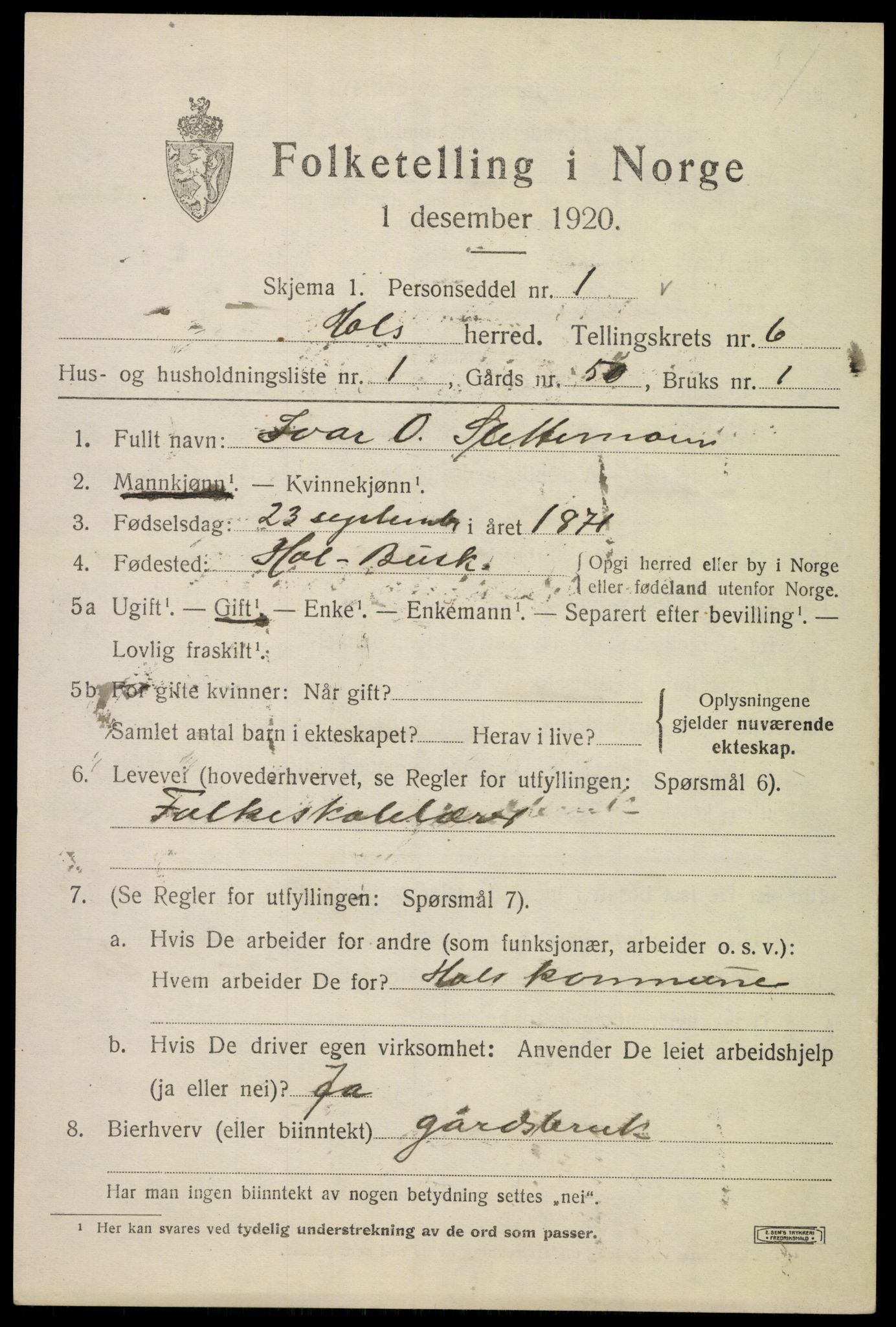 SAKO, 1920 census for Hol (Buskerud), 1920, p. 2947