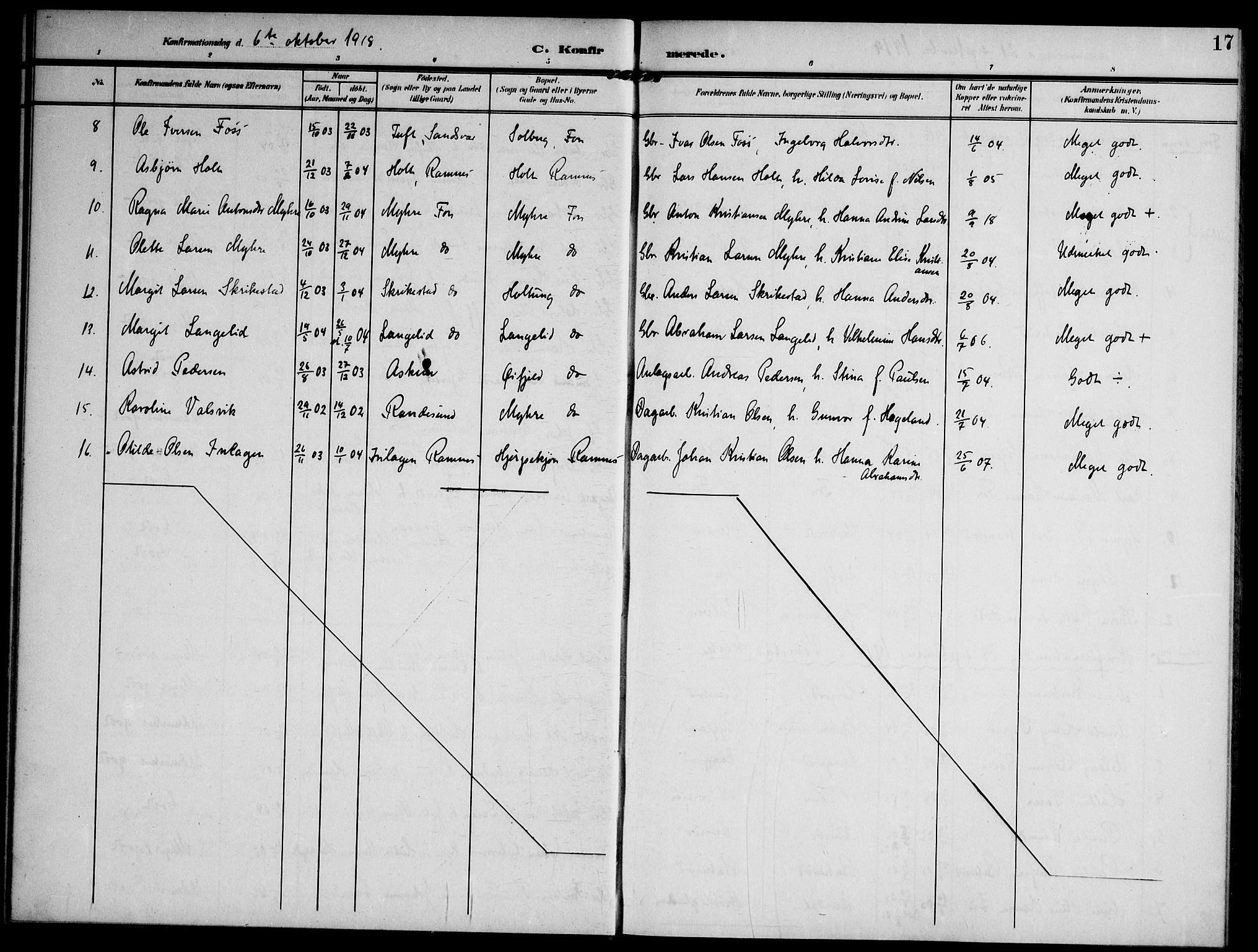 Ramnes kirkebøker, SAKO/A-314/F/Fd/L0004: Curate's parish register no. IV 4, 1907-1919, p. 17