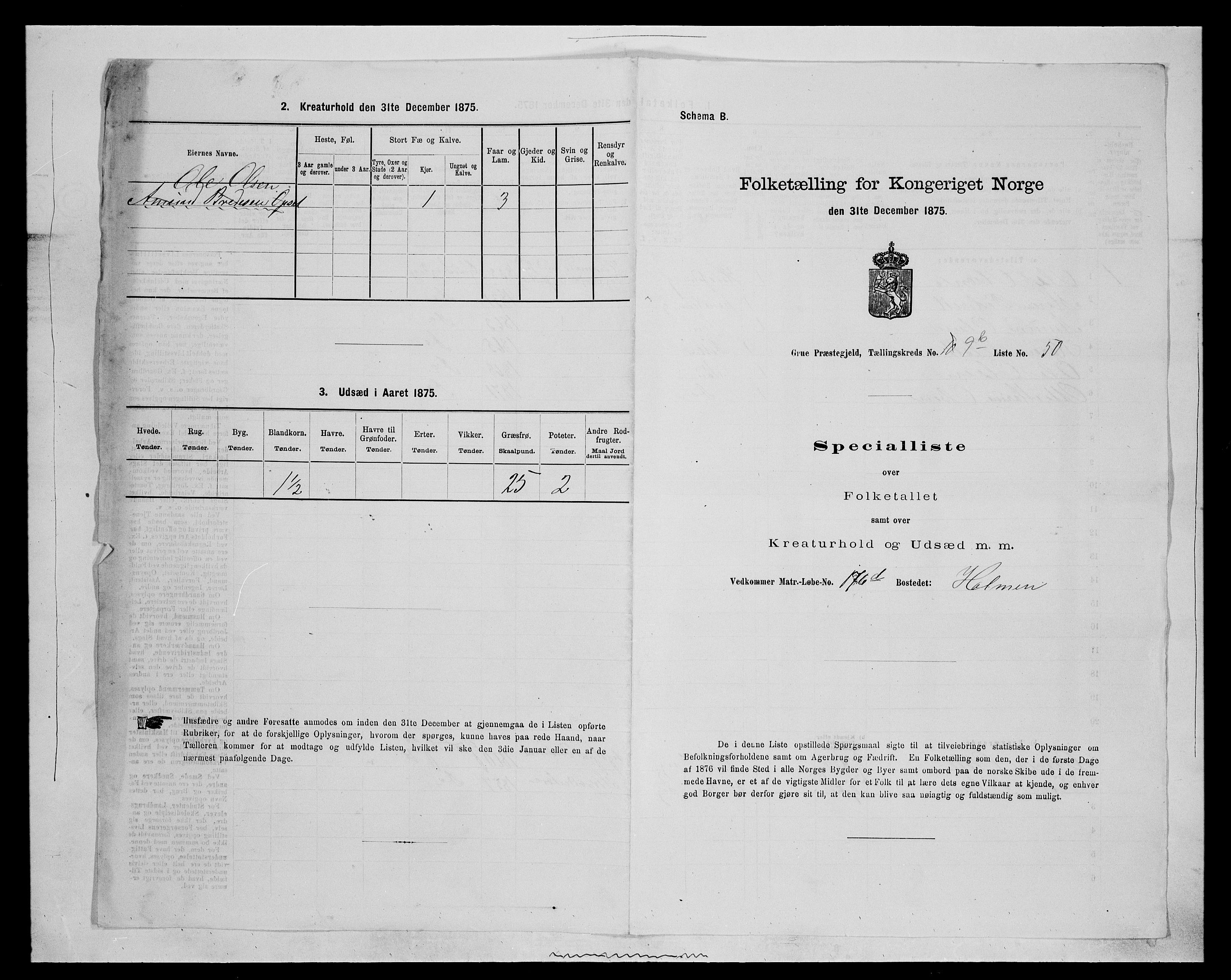 SAH, 1875 census for 0423P Grue, 1875, p. 1822