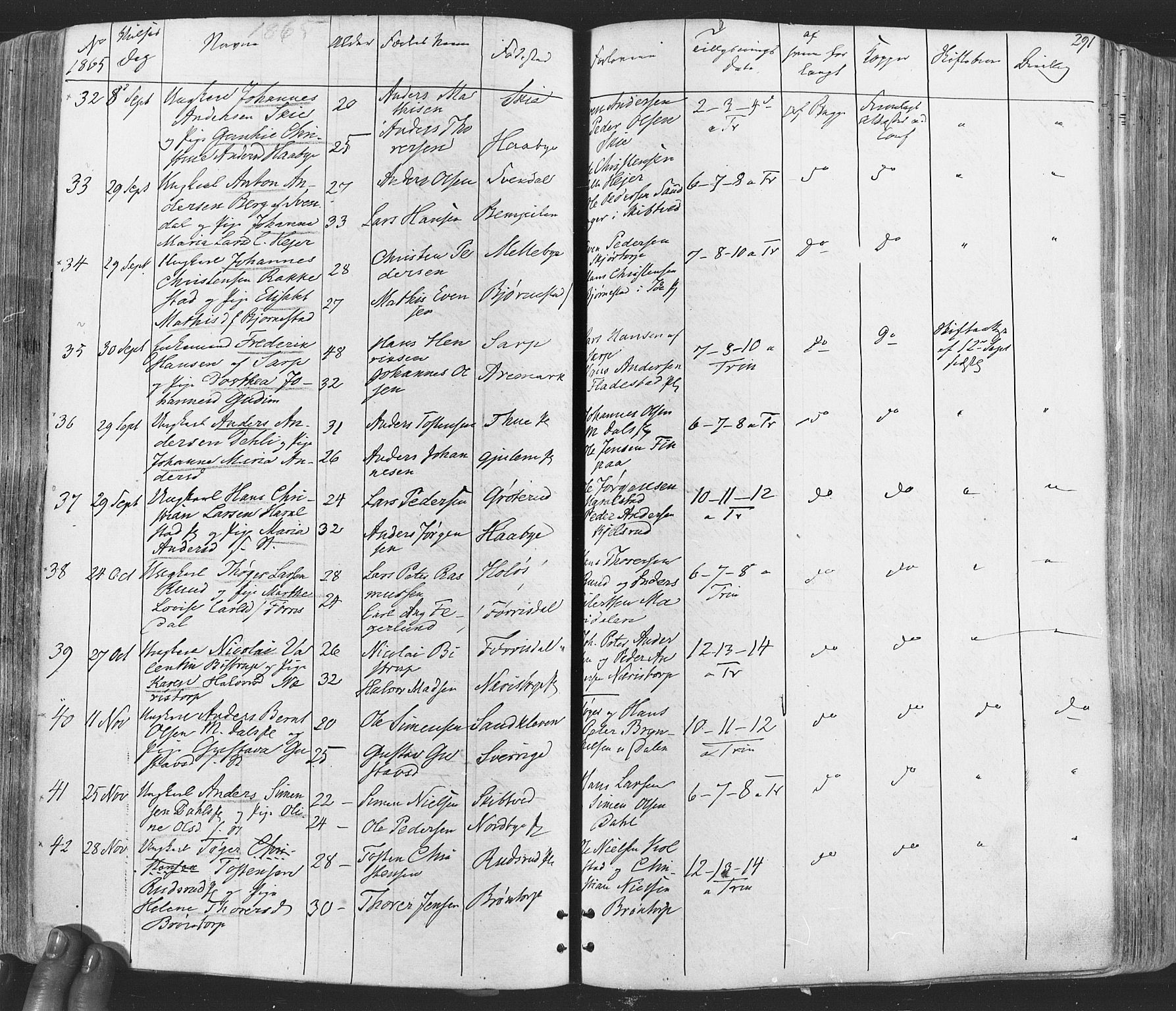 Rakkestad prestekontor Kirkebøker, SAO/A-2008/F/Fa/L0011: Parish register (official) no. I 11, 1862-1877, p. 291