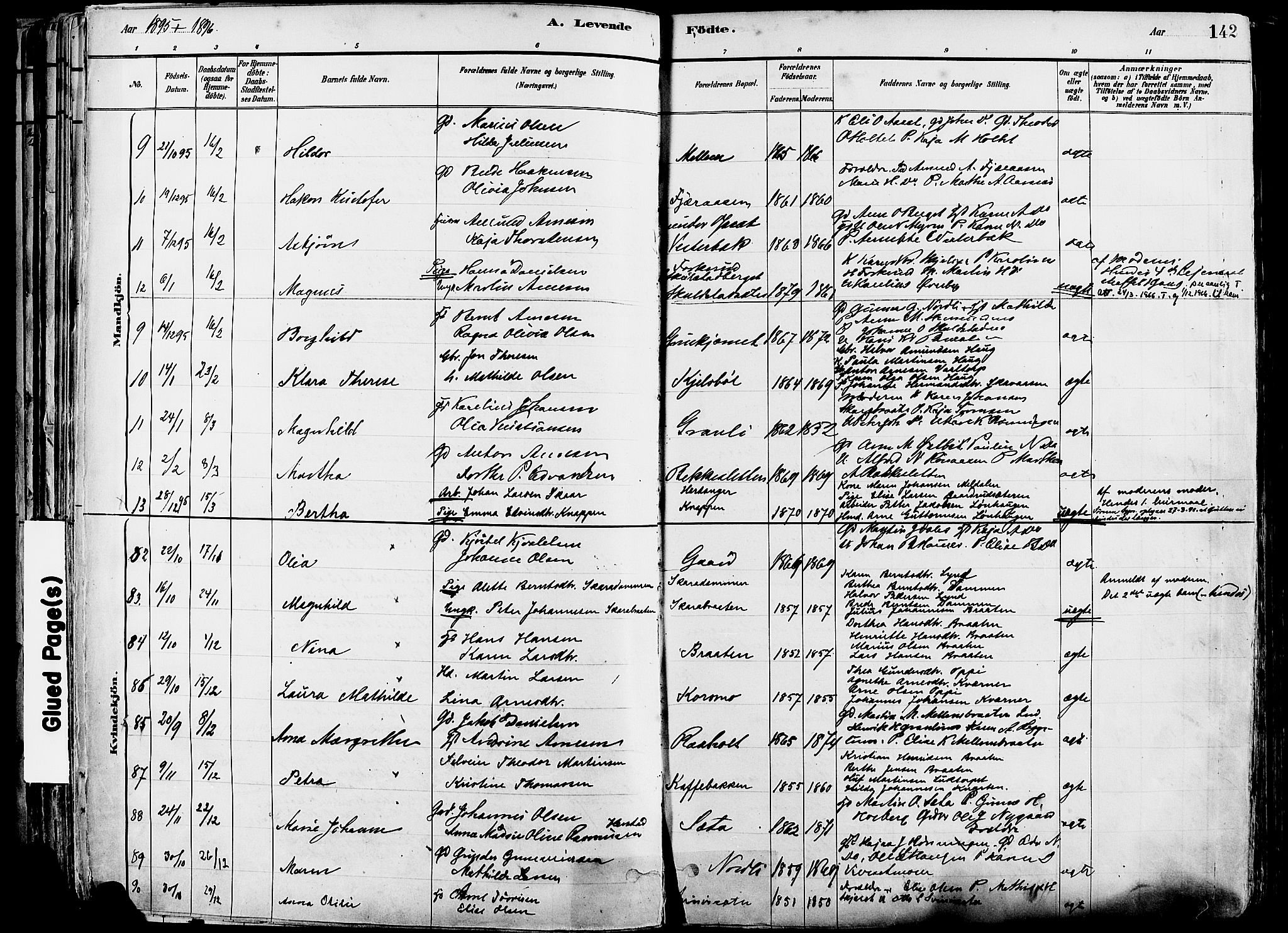 Grue prestekontor, AV/SAH-PREST-036/H/Ha/Haa/L0012: Parish register (official) no. 12, 1881-1897, p. 142