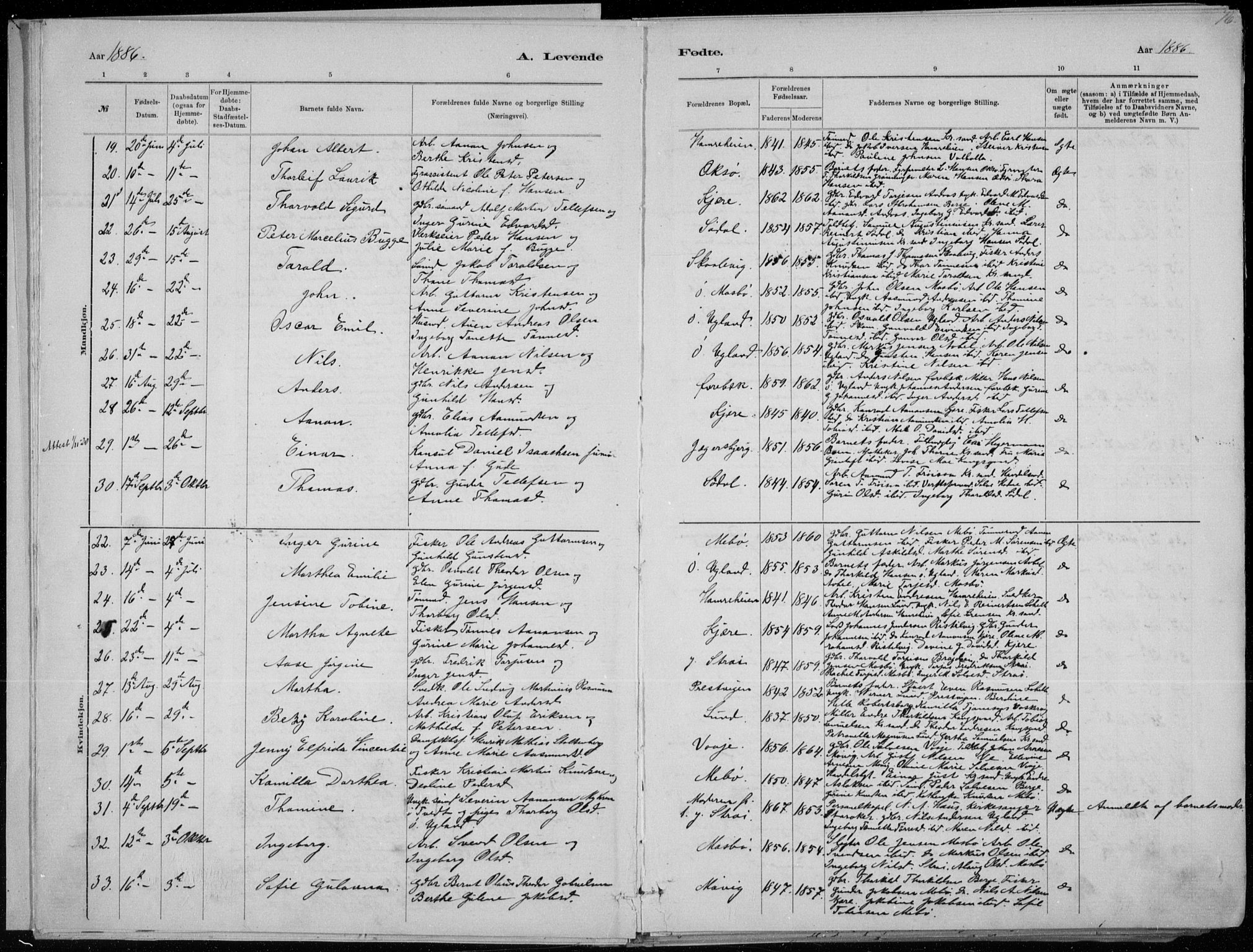 Oddernes sokneprestkontor, AV/SAK-1111-0033/F/Fa/Faa/L0009: Parish register (official) no. A 9, 1884-1896, p. 16