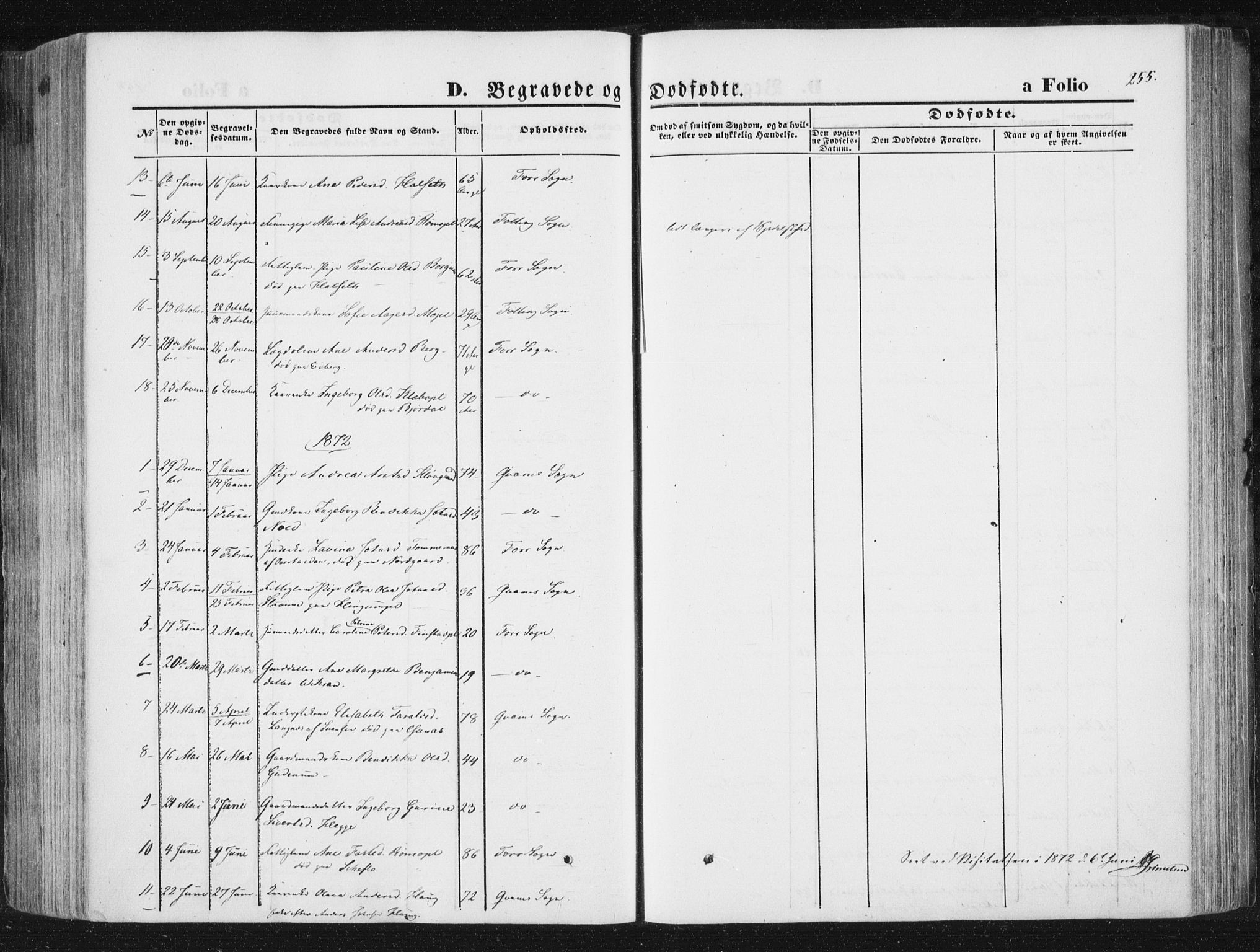 Ministerialprotokoller, klokkerbøker og fødselsregistre - Nord-Trøndelag, SAT/A-1458/746/L0447: Parish register (official) no. 746A06, 1860-1877, p. 255