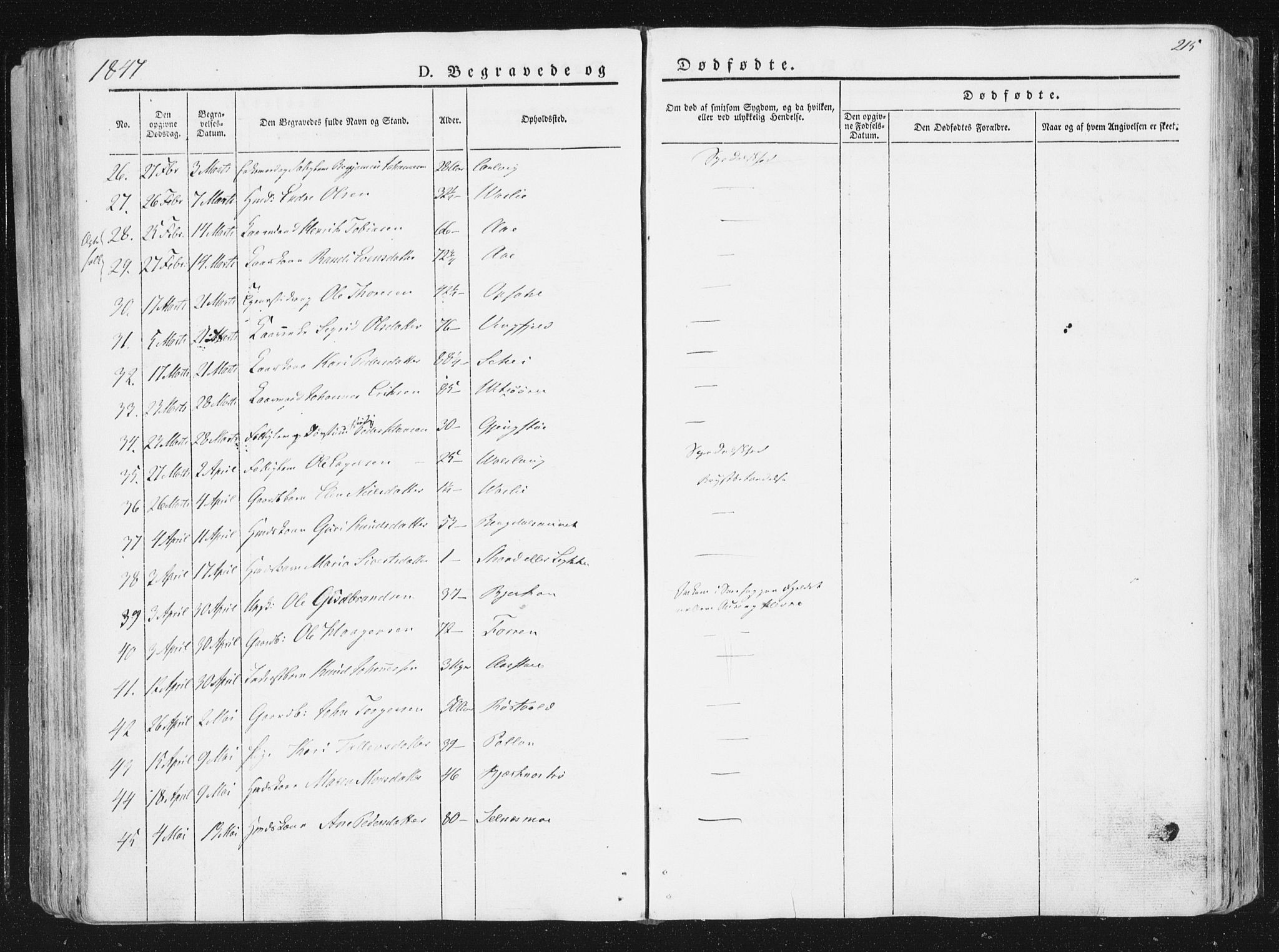 Ministerialprotokoller, klokkerbøker og fødselsregistre - Sør-Trøndelag, AV/SAT-A-1456/630/L0493: Parish register (official) no. 630A06, 1841-1851, p. 215