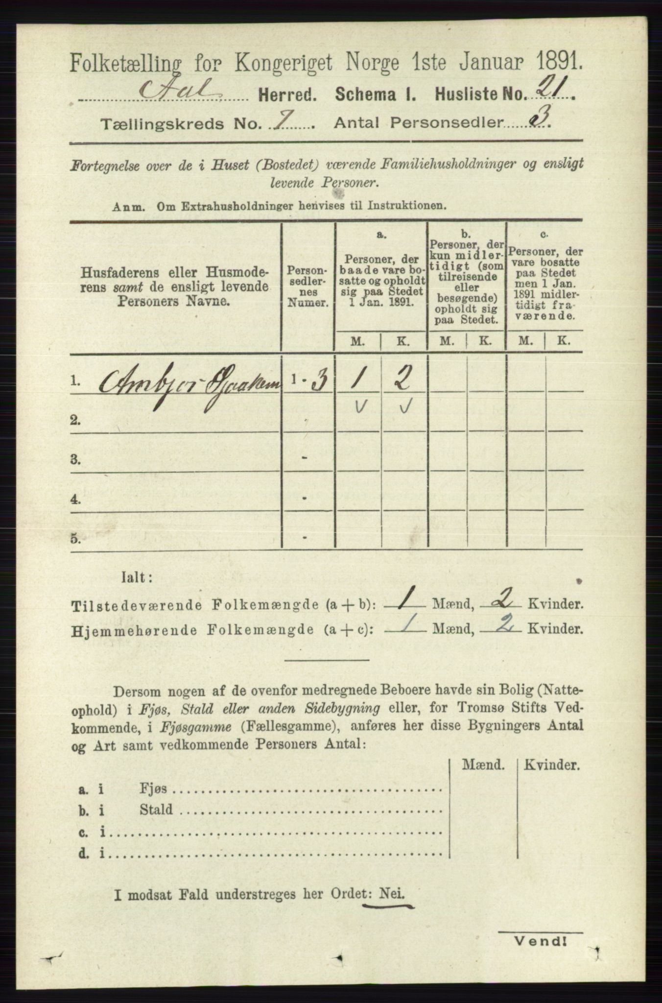 RA, 1891 census for 0619 Ål, 1891, p. 1802