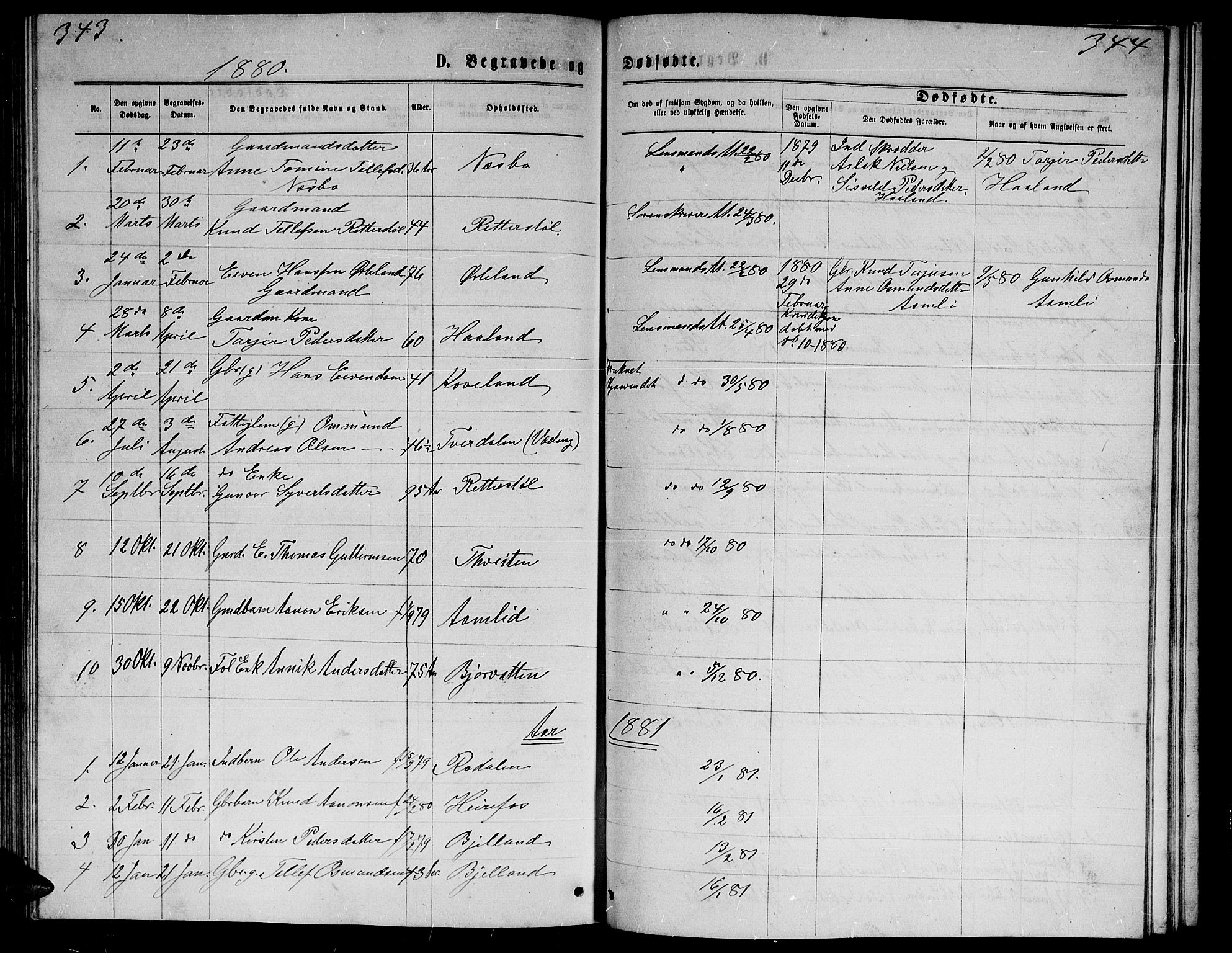 Herefoss sokneprestkontor, AV/SAK-1111-0019/F/Fb/Fba/L0002: Parish register (copy) no. B 2, 1868-1886, p. 343-344