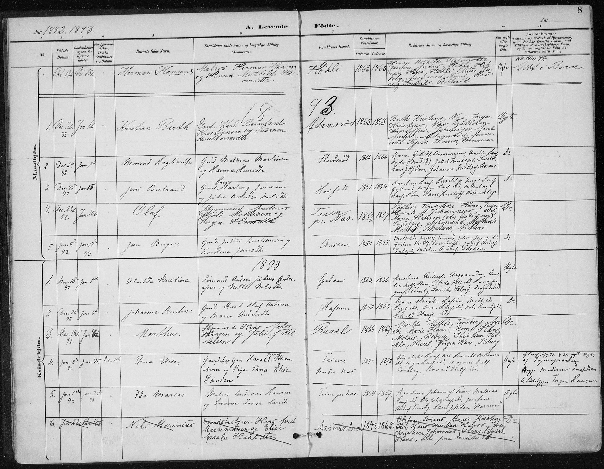 Sem kirkebøker, AV/SAKO-A-5/F/Fb/L0005: Parish register (official) no. II 5, 1892-1904, p. 8