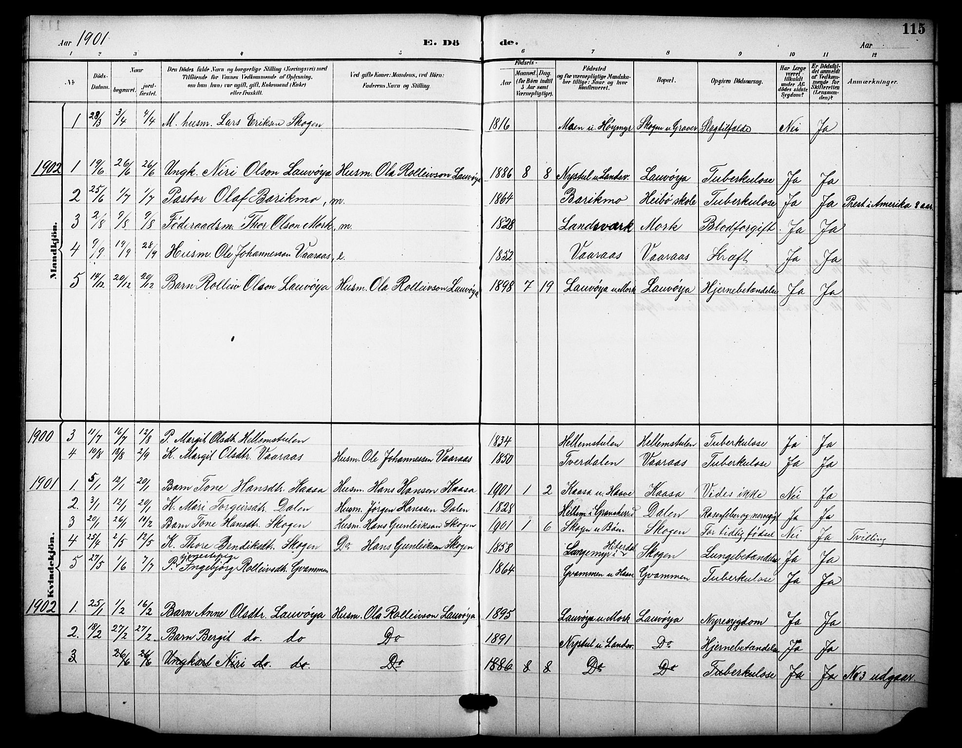 Heddal kirkebøker, AV/SAKO-A-268/F/Fb/L0001: Parish register (official) no. II 1, 1884-1910, p. 115