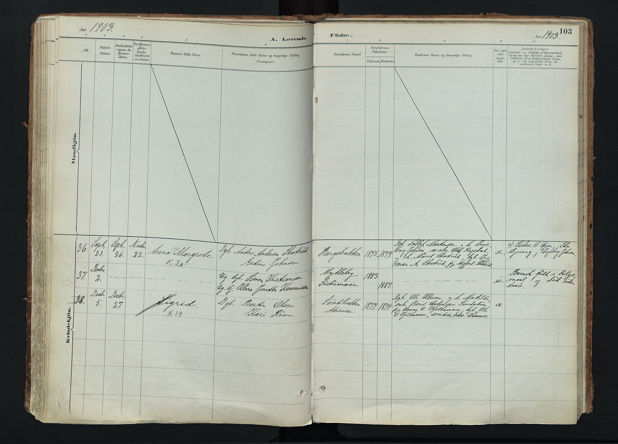 Stor-Elvdal prestekontor, AV/SAH-PREST-052/H/Ha/Haa/L0004: Parish register (official) no. 4, 1890-1922, p. 103