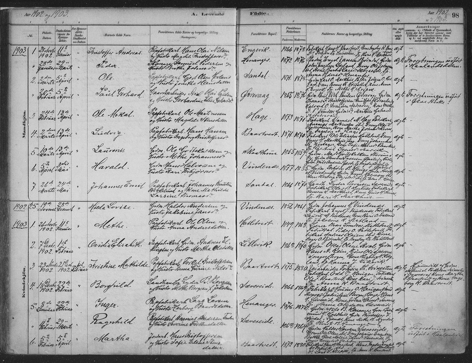 Fusa sokneprestembete, SAB/A-75401/H/Haa: Parish register (official) no. D 1, 1880-1938, p. 98