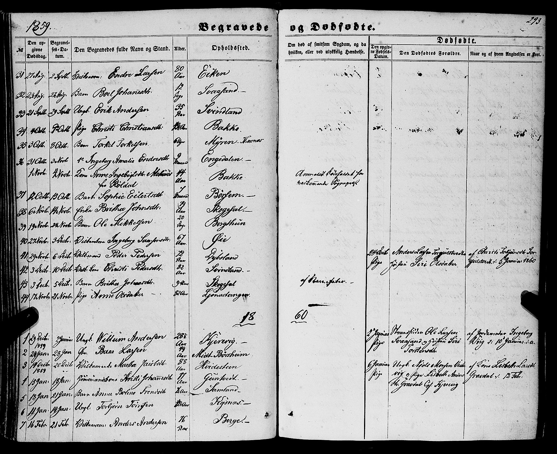 Strandebarm sokneprestembete, AV/SAB-A-78401/H/Haa: Parish register (official) no. A 8, 1858-1872, p. 293