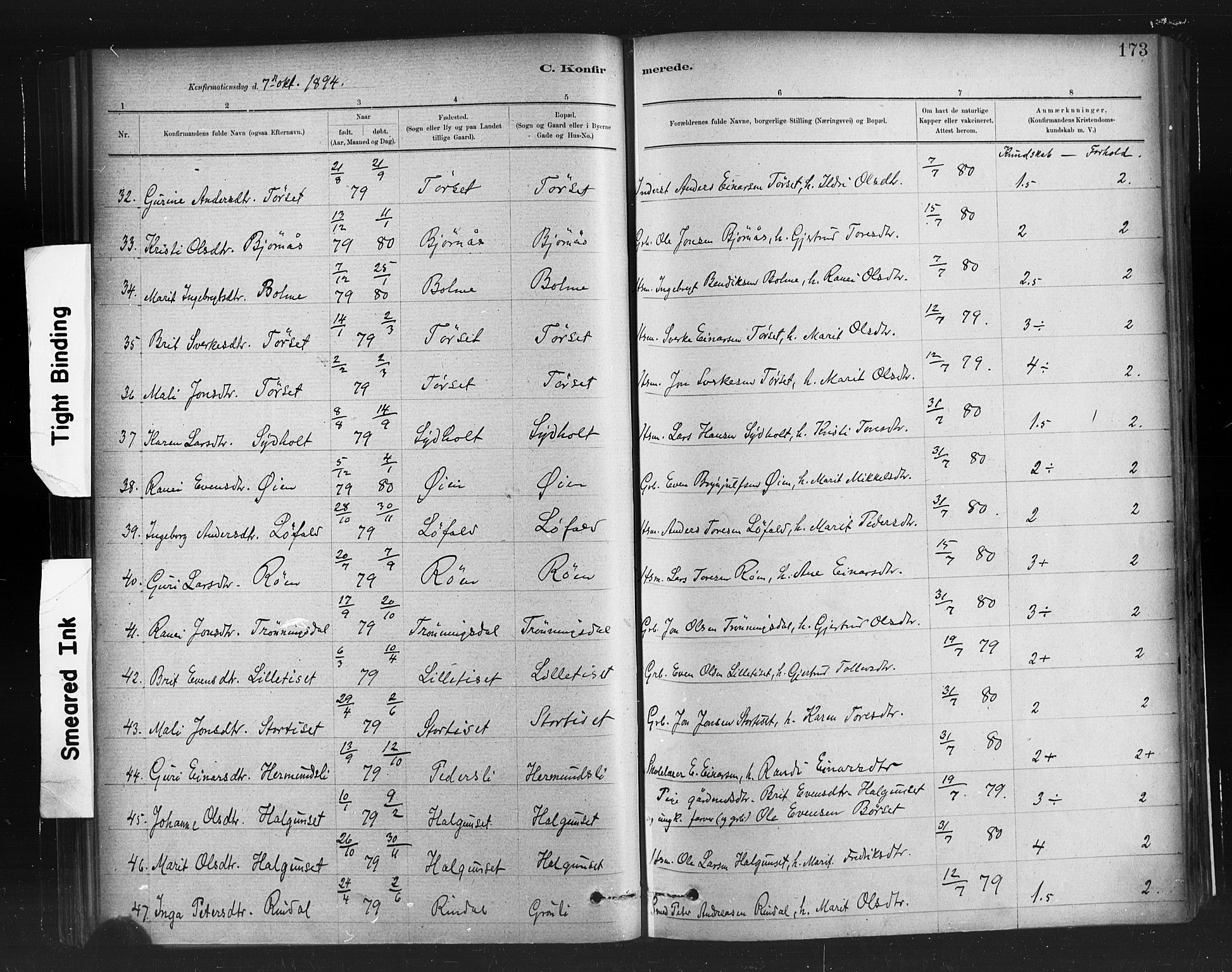 Ministerialprotokoller, klokkerbøker og fødselsregistre - Møre og Romsdal, AV/SAT-A-1454/598/L1069: Parish register (official) no. 598A03, 1882-1895, p. 173