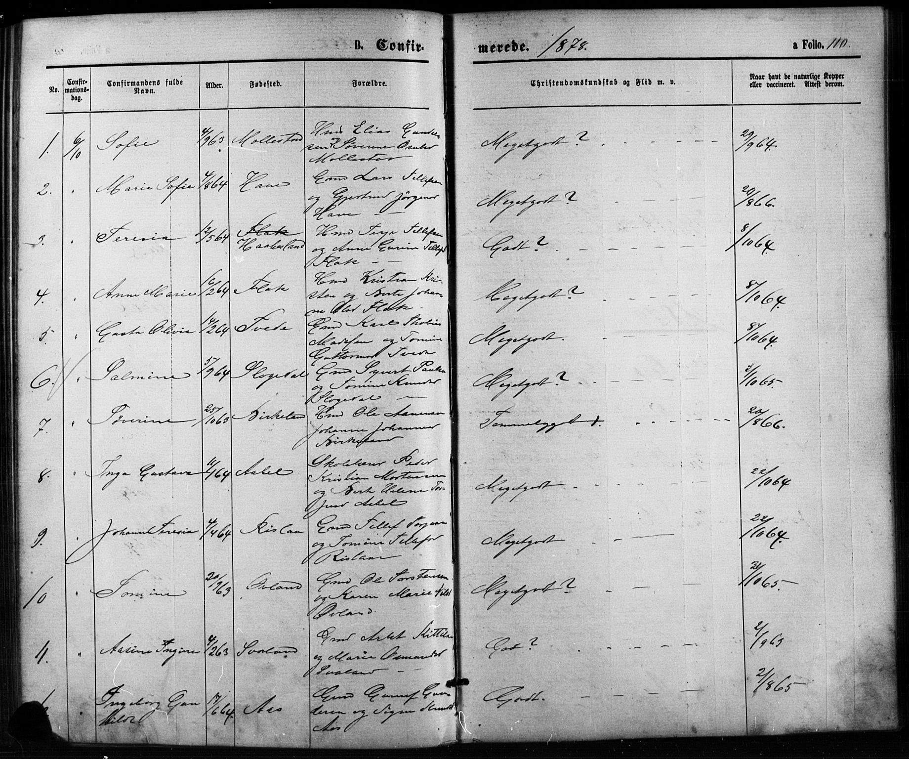 Birkenes sokneprestkontor, SAK/1111-0004/F/Fb/L0003: Parish register (copy) no. B 3, 1876-1892, p. 110